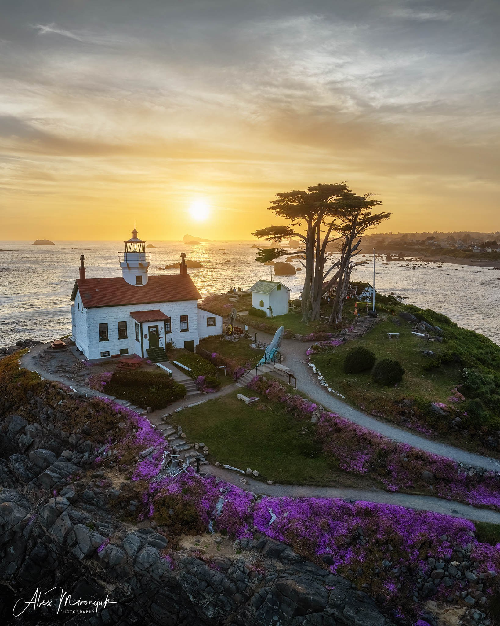 From Crater Lake to the Coast — A Photographer’s Journey. Pet, Senior, Landscape, portrait studio, photographer in Miami and Sou