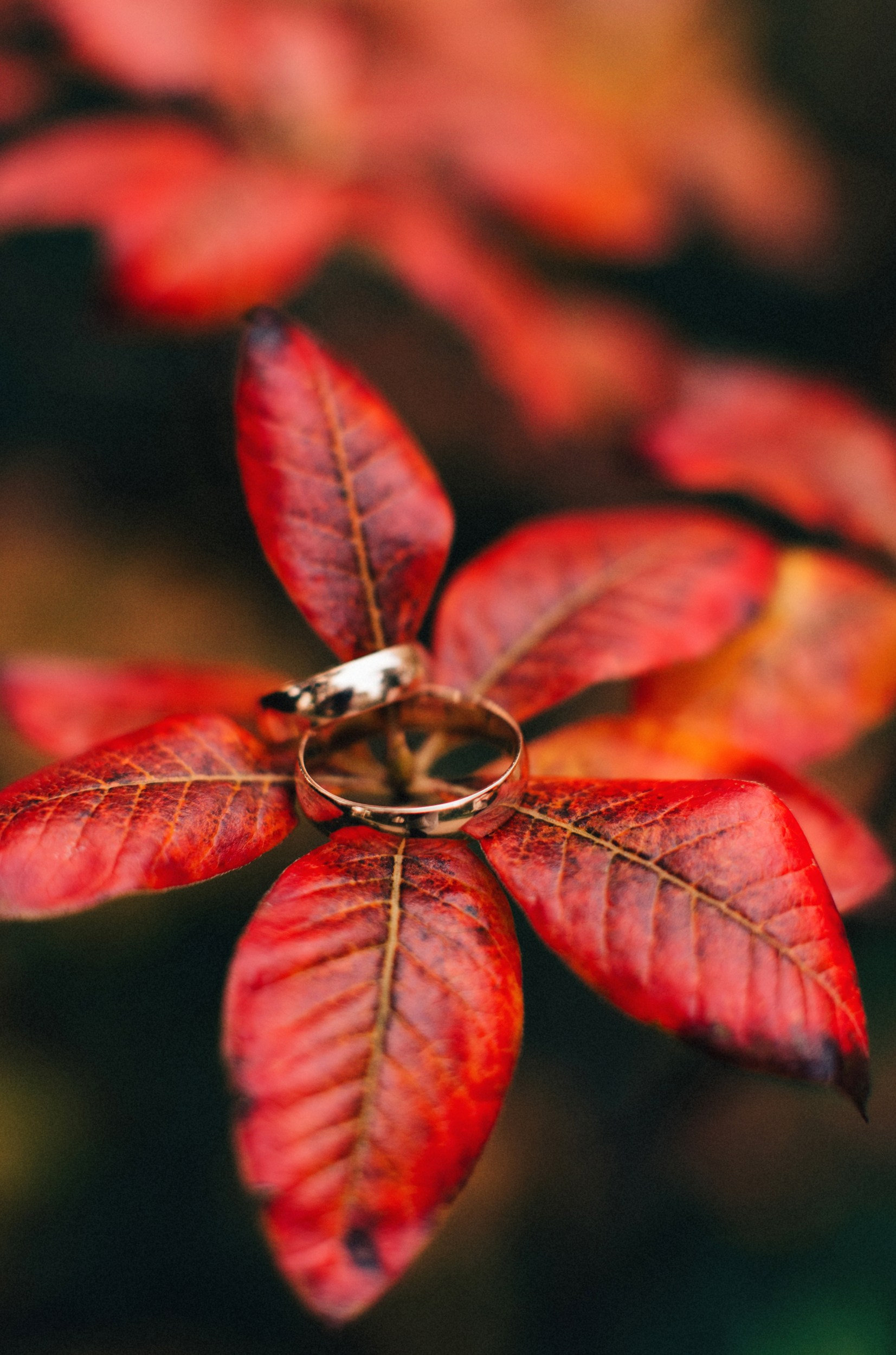 Fotografin aus Berlin Yuliya. Hochzeitsvideo, Hochzeitsfilm, Hochzeitsvideograf Berlin