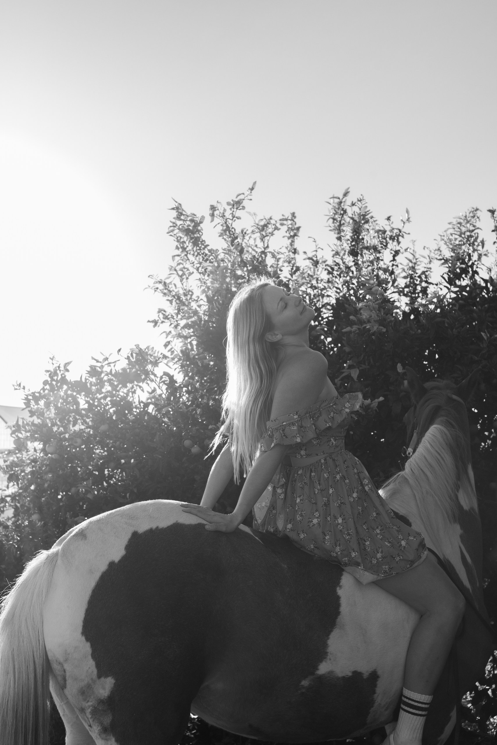 Golden hour at Rio’s ranch. Dina Solomina | Photographer in Israel