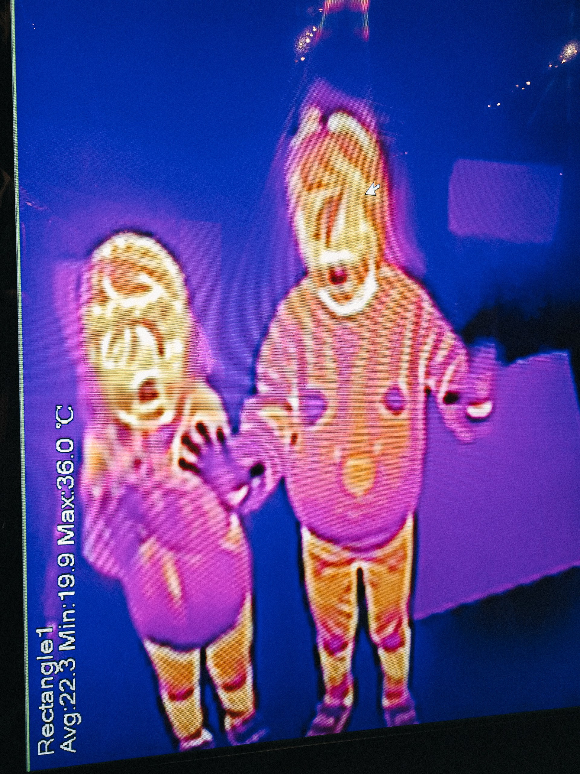 SPĀNIJA, ALIKANTE. Kāzu un ģimenes fotogrāfs Rīgā