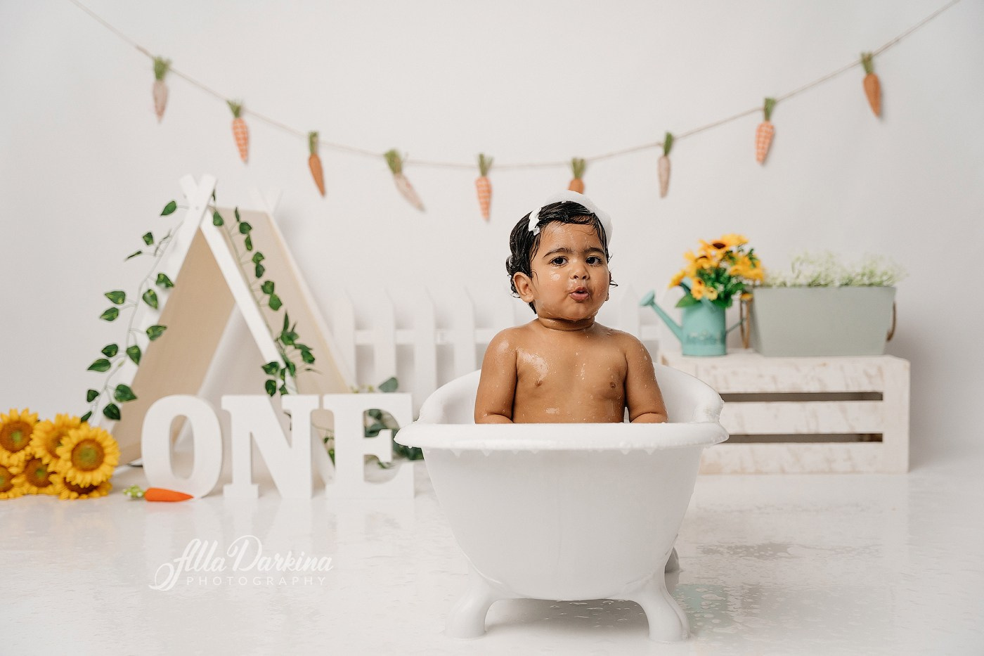 First birthday celebration. Newborn and family photographer. Hills District. Sydney