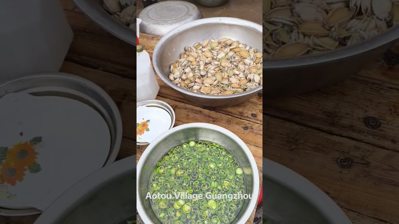 Aotoucun 坳头村 Village Guangzhou | China 🇨🇳. 中国街头摄影 | The Streets of China Through My Eyes | 深圳