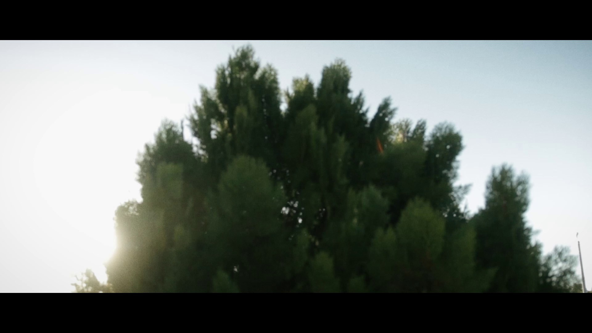 Filmmaker Daner Castria