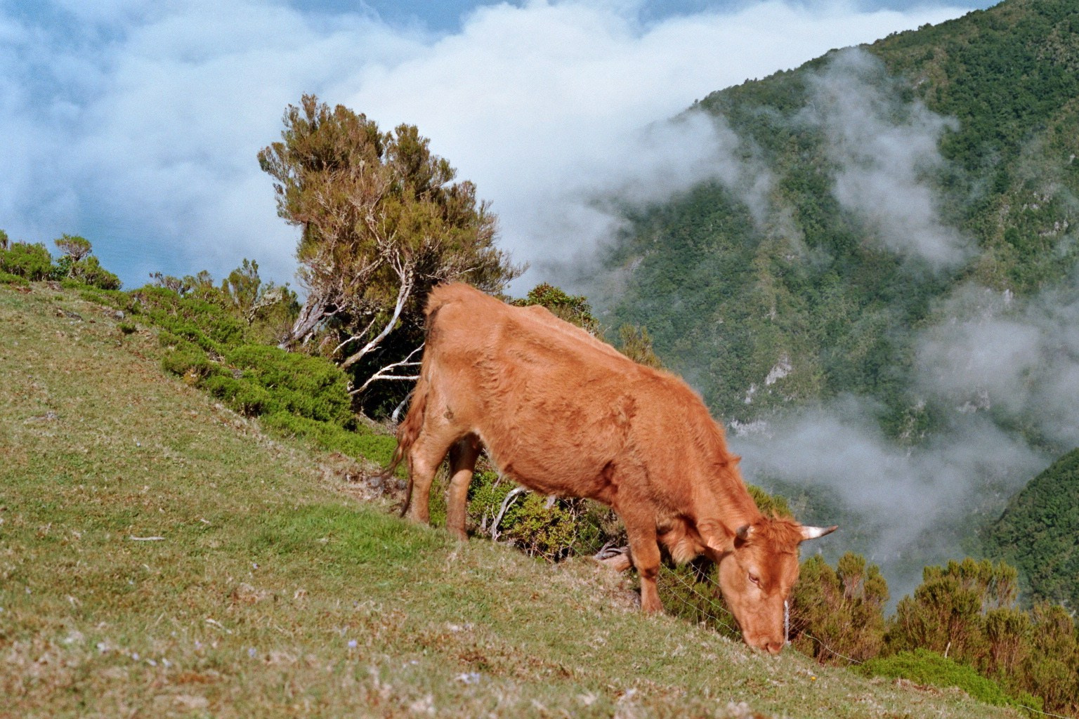 Сontacts. Portrait photographer in Madeira — Marina Shtukina