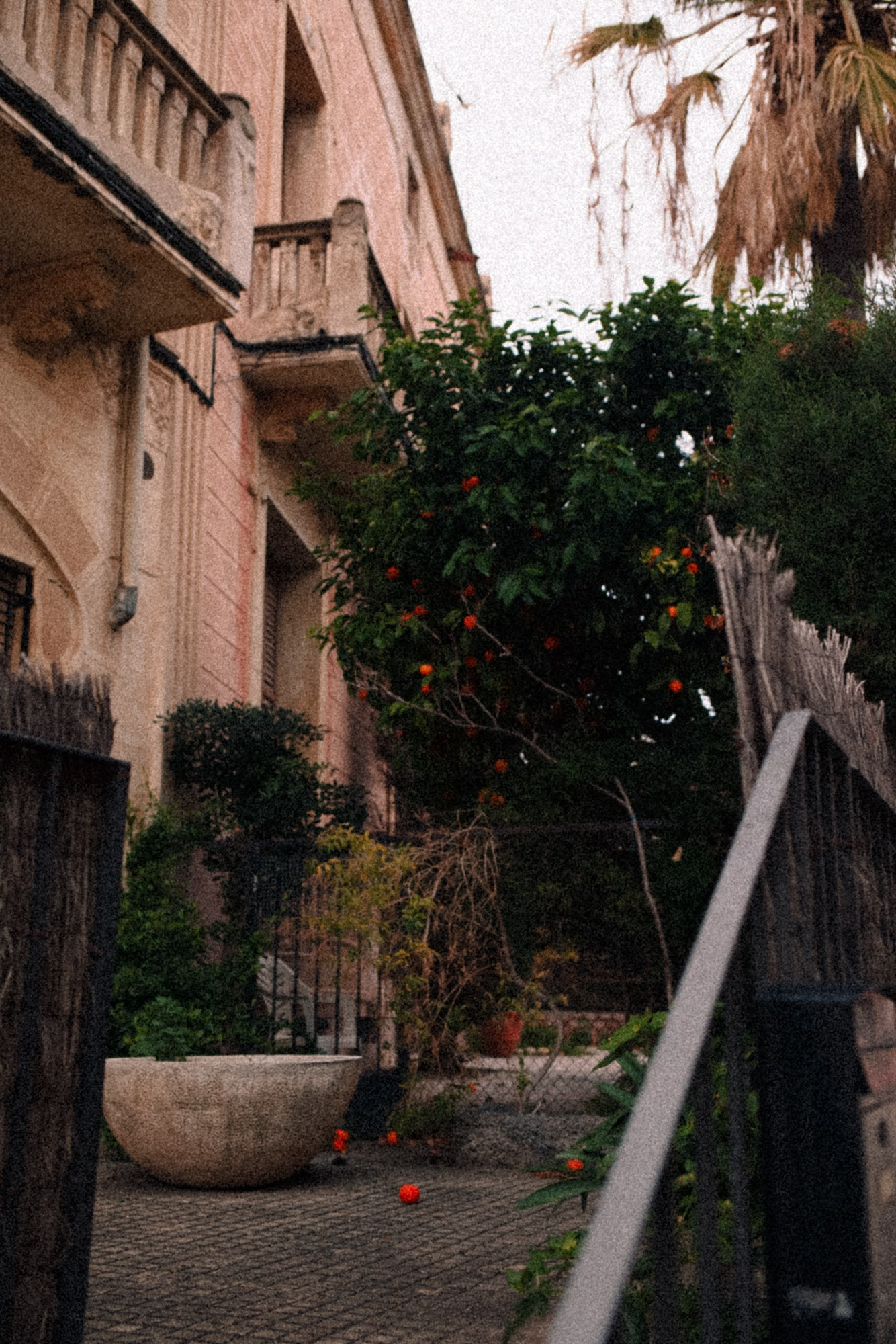 Old captain's house in Masnou with mandarin trees