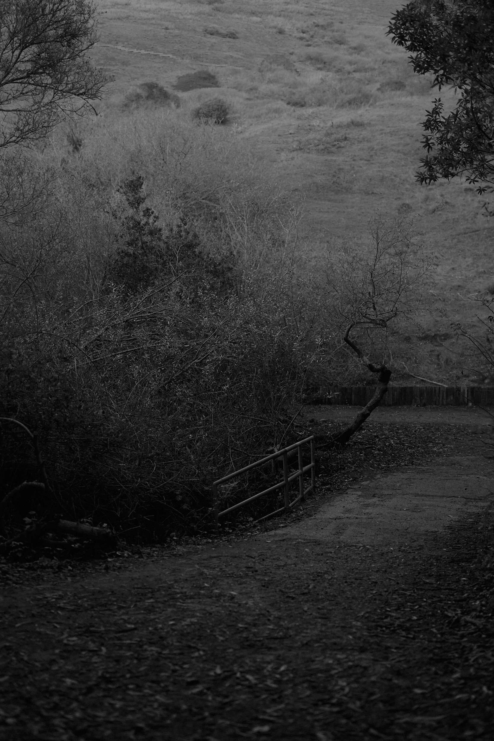 Mystery lands. GLISH ART — Timofey Glinin & Anastasia Shubina