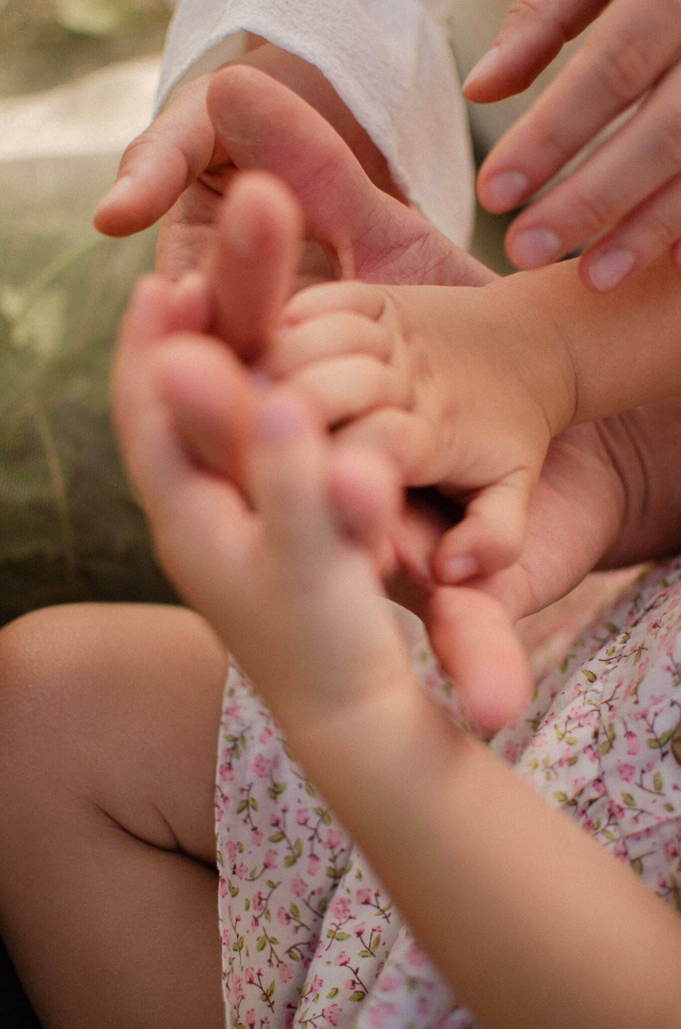 Everwarm Photo and Video Studio