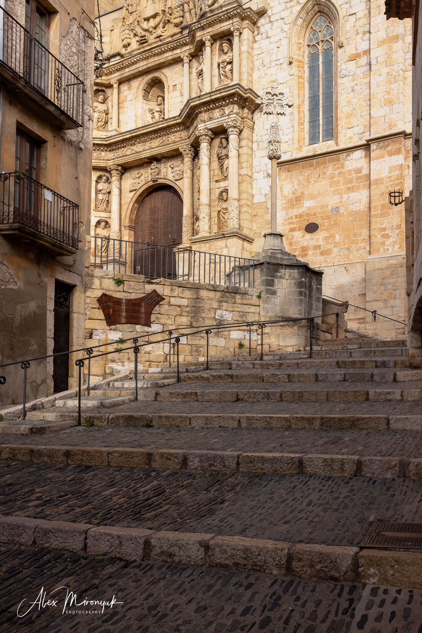 Catalonian Medieval Castles. Pet, Senior, Landscape, portrait studio, photographer in Miami and Sou