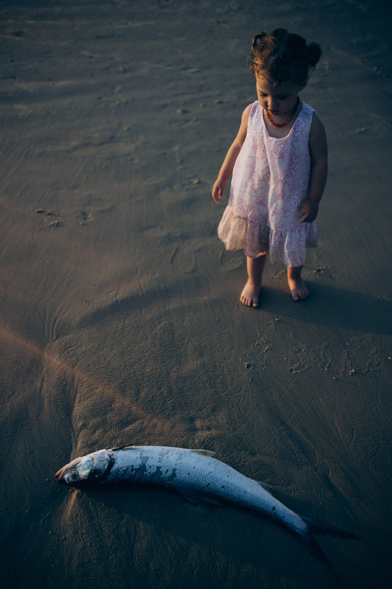 Fotografa documental de familia e nascimento em Florianópolis SC Daria Ermolaev