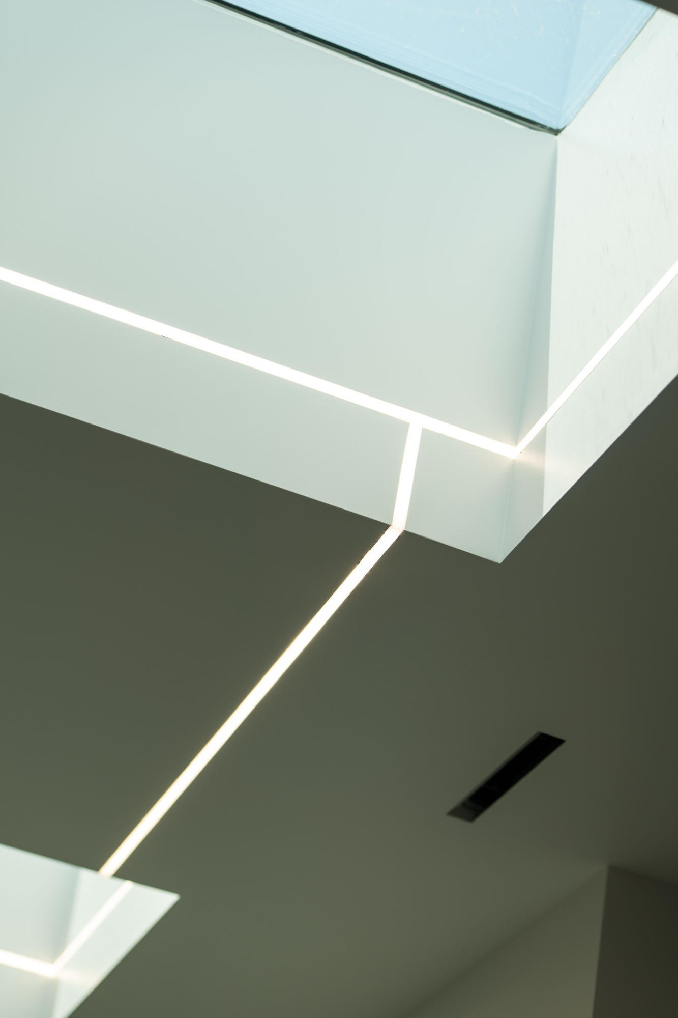 Events. Daniel Vegera — Artistic & Business Photography in San Francisco