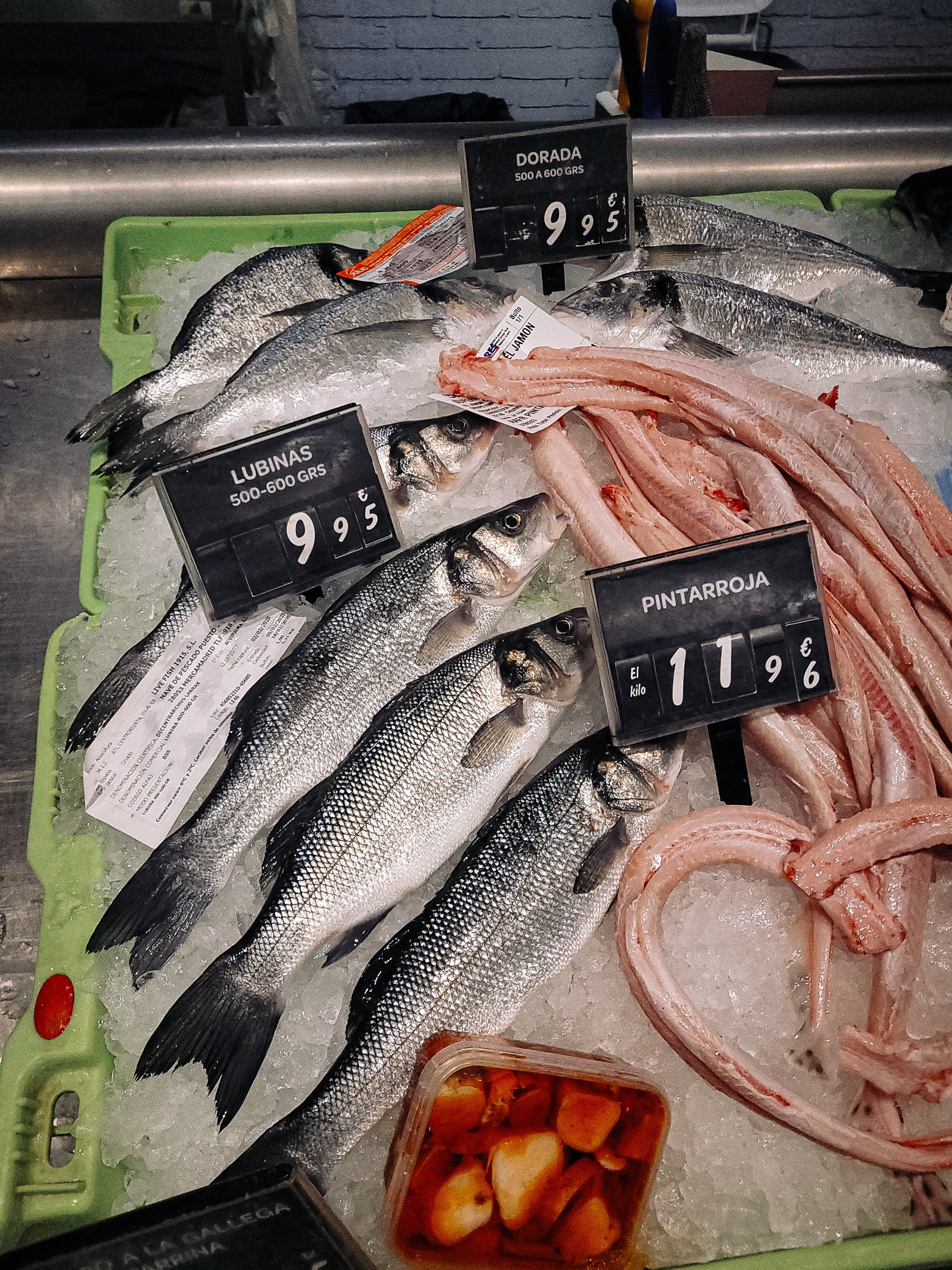 CEĻOJUMS SPĀNIJA, MALAGA AR BĒRNIEM