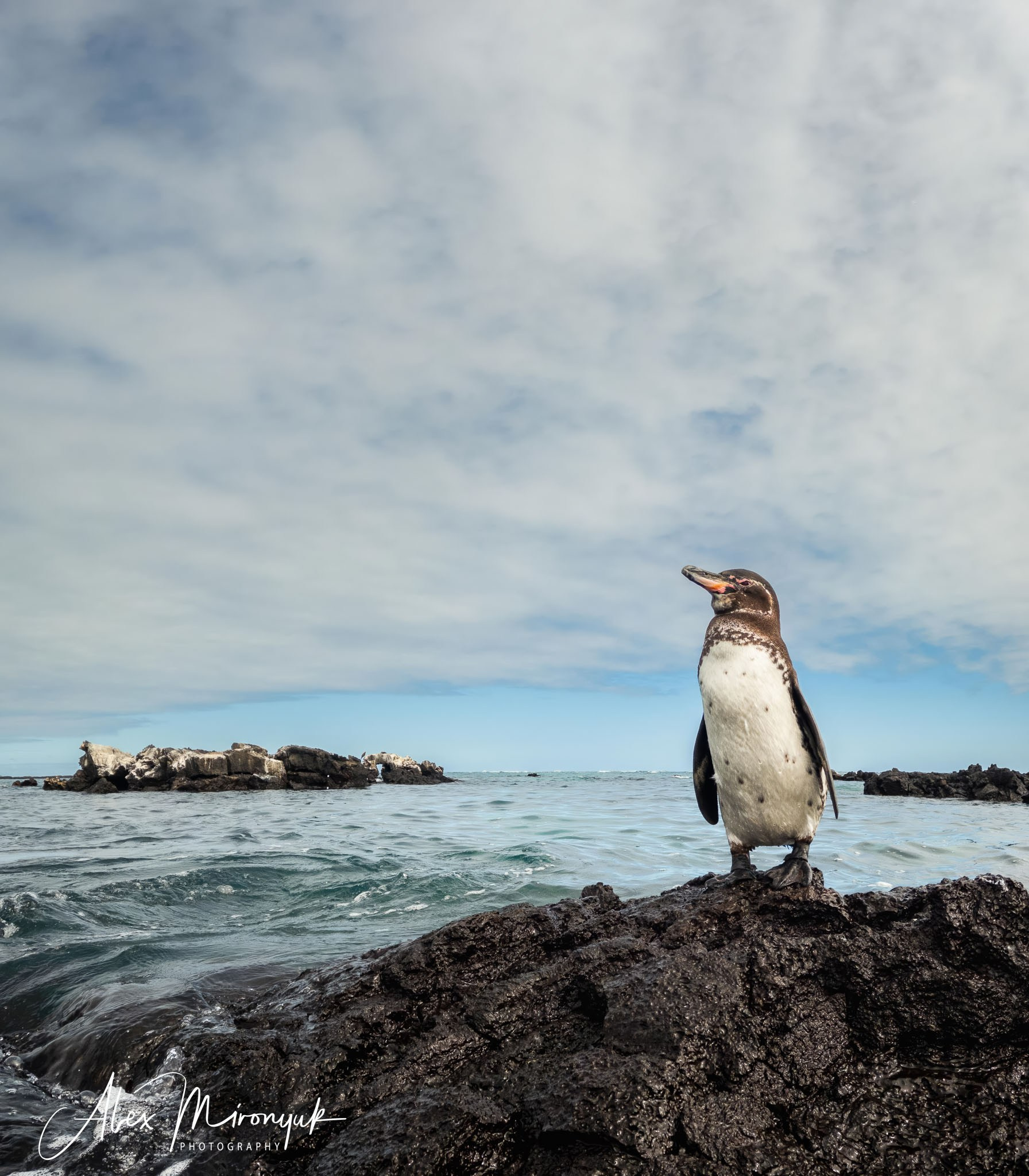 Galapagos Islands Adventure. Alex Mironyuk Photography