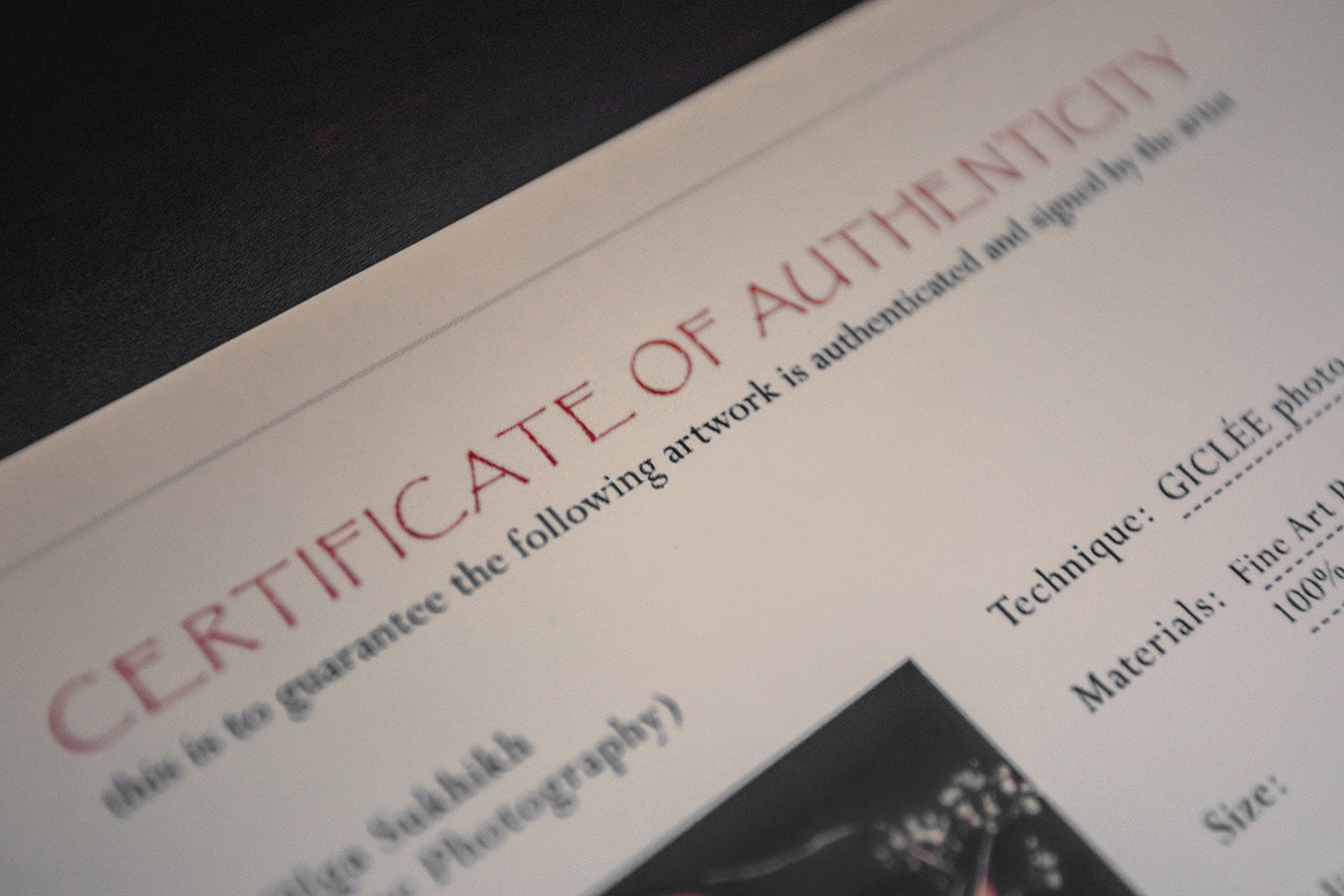 I am conception. Lolly Shine. Contemporary digital artist