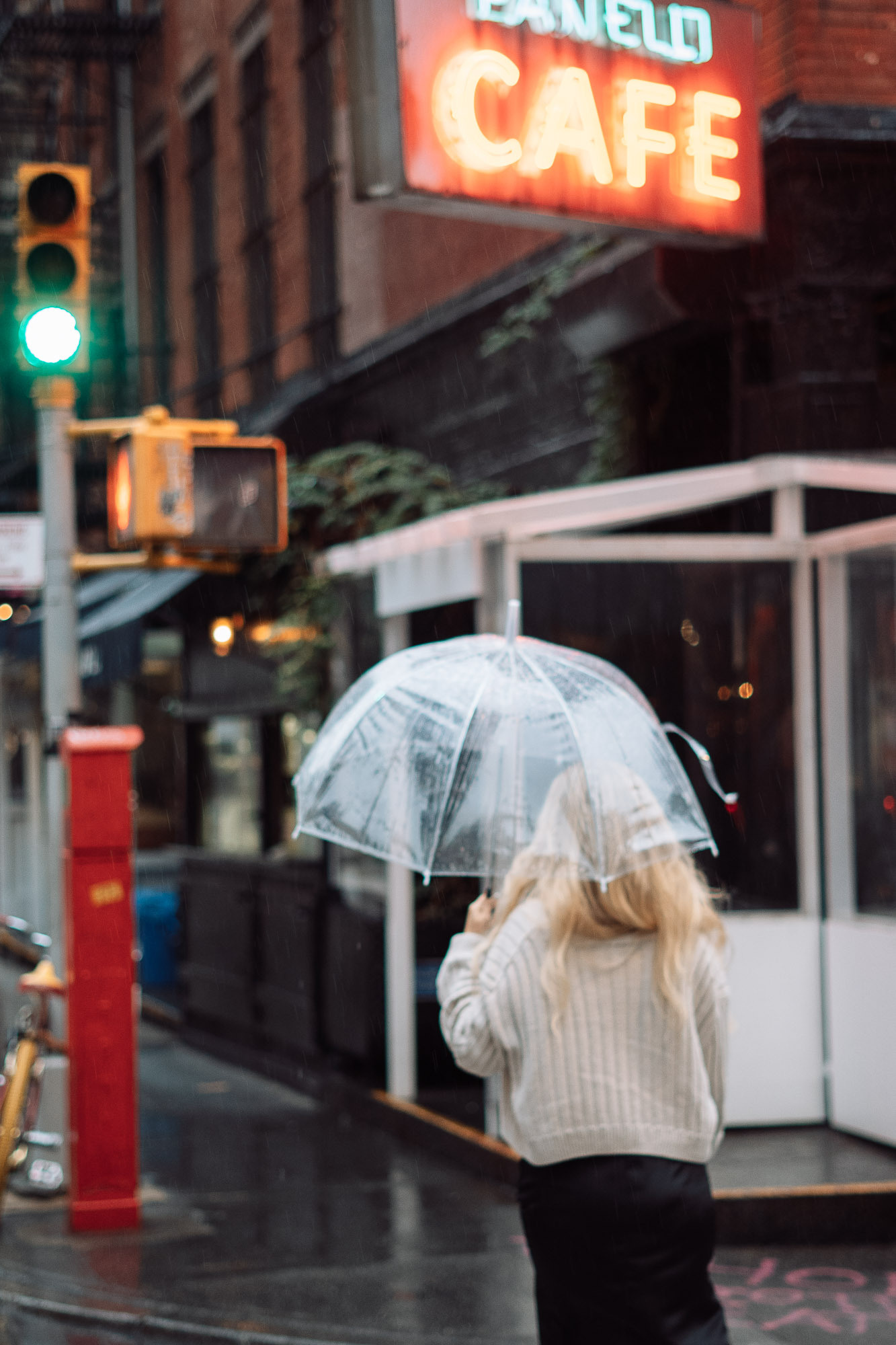 Photographer in New York Faery By Mary