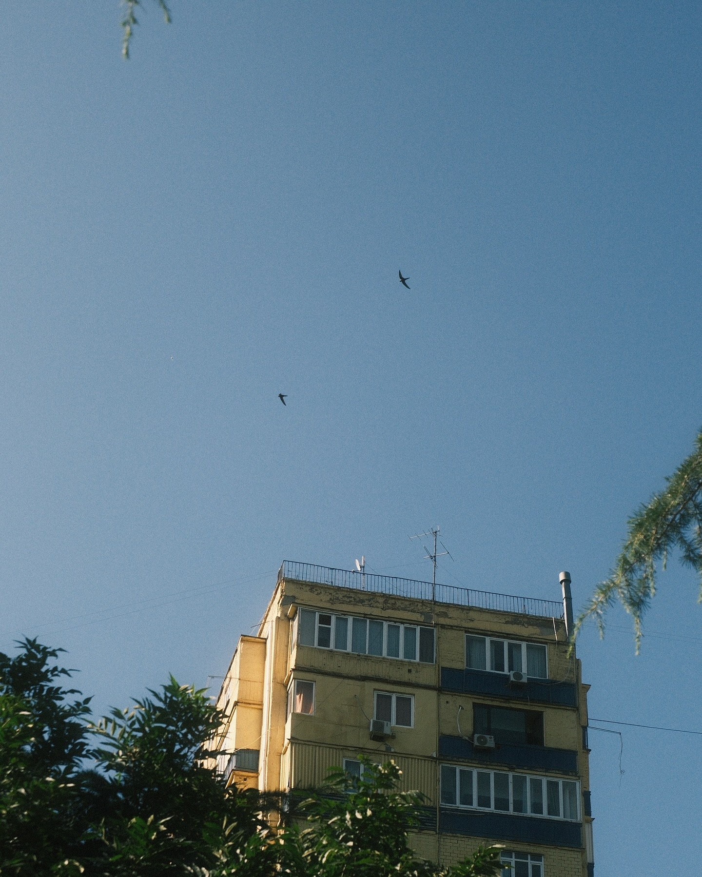 Urban Colors — M5. @Gio.Fujifilm ოფიციალური აბასადორი, X-ფოტოგრაფი
