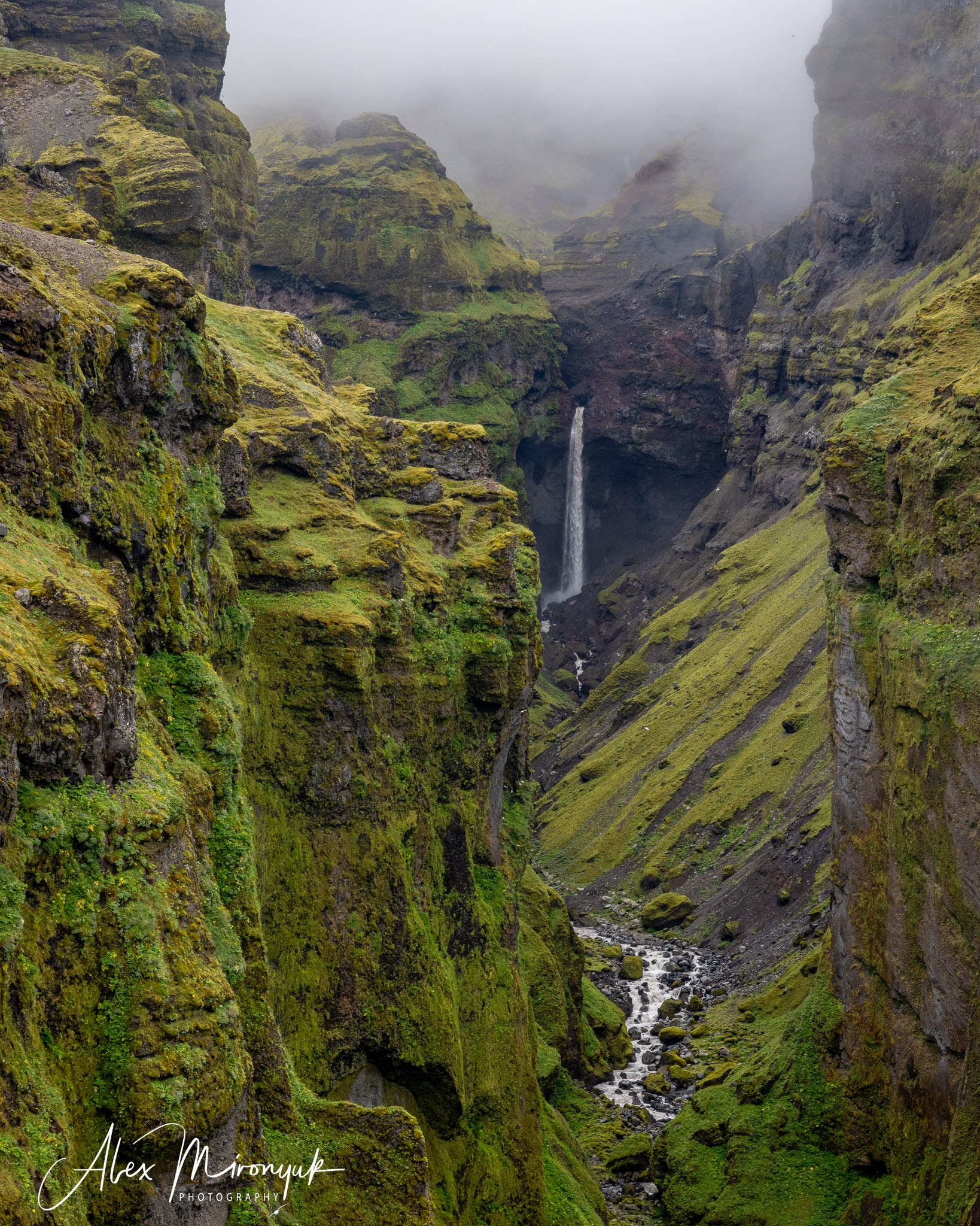 Unforgettable Iceland. Pet, Senior, Landscape, portrait studio, photographer in Miami and Sou