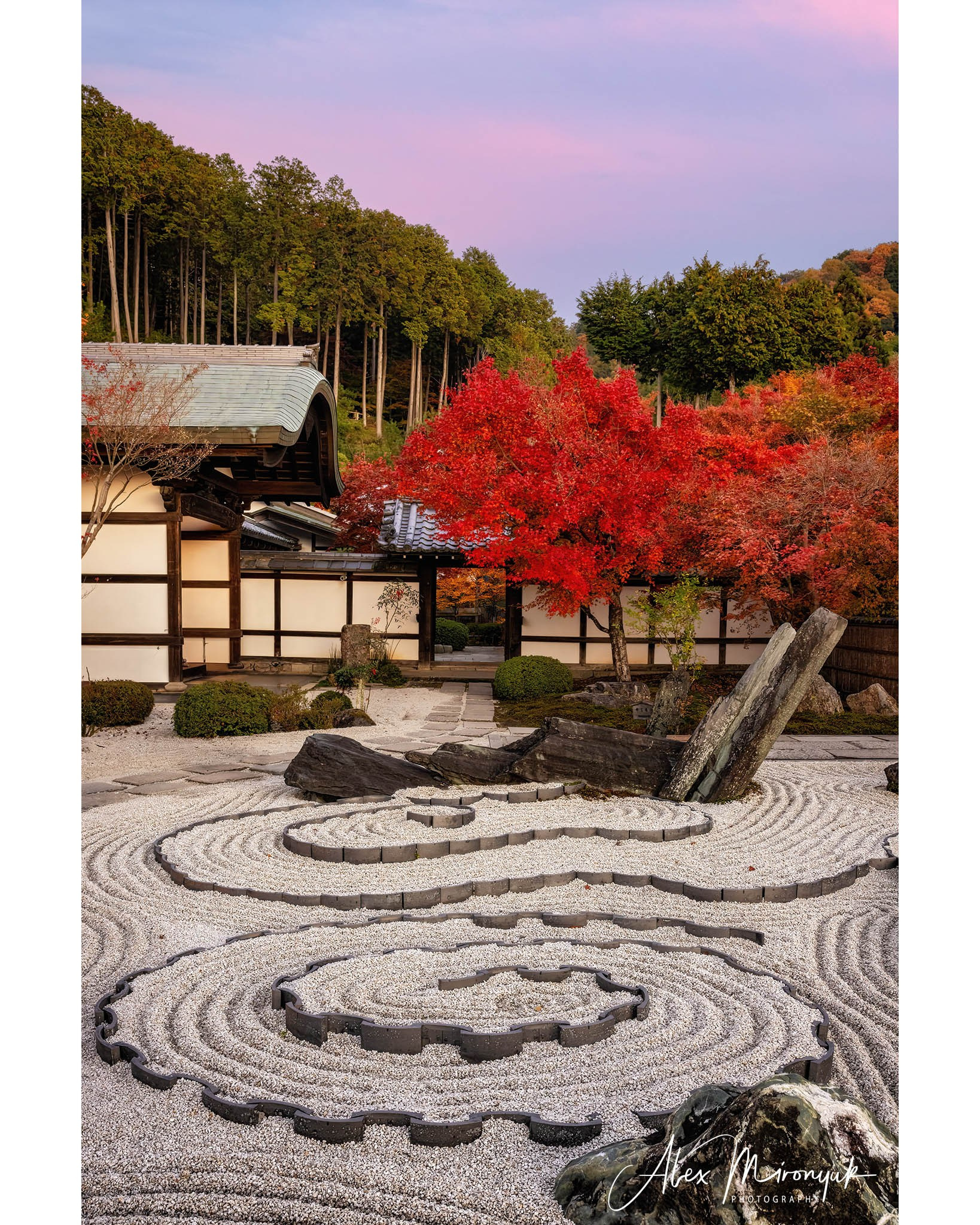 Autumn Colors of Japan. Pet, Senior, Landscape, portrait studio, photographer in Miami and Sou