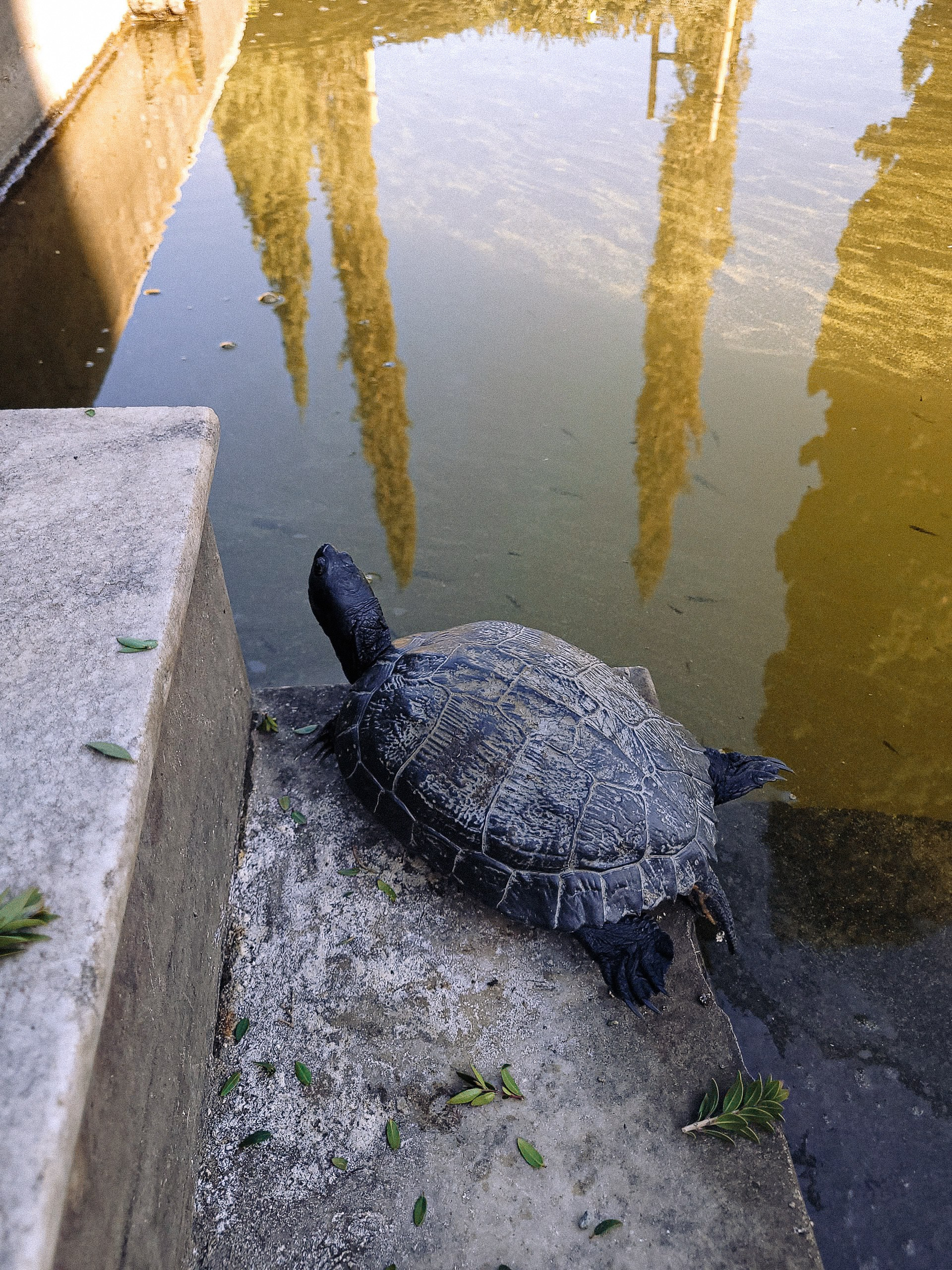 CEĻOJUMS SPĀNIJA, MALAGA AR BĒRNIEM