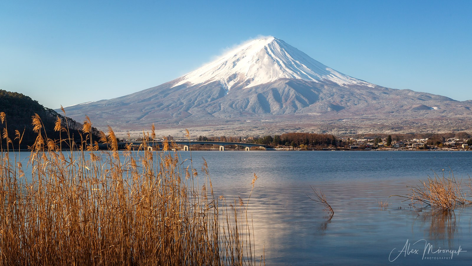 Autumn Colors of Japan. Pet, Senior, Landscape, portrait studio, photographer in Miami and Sou