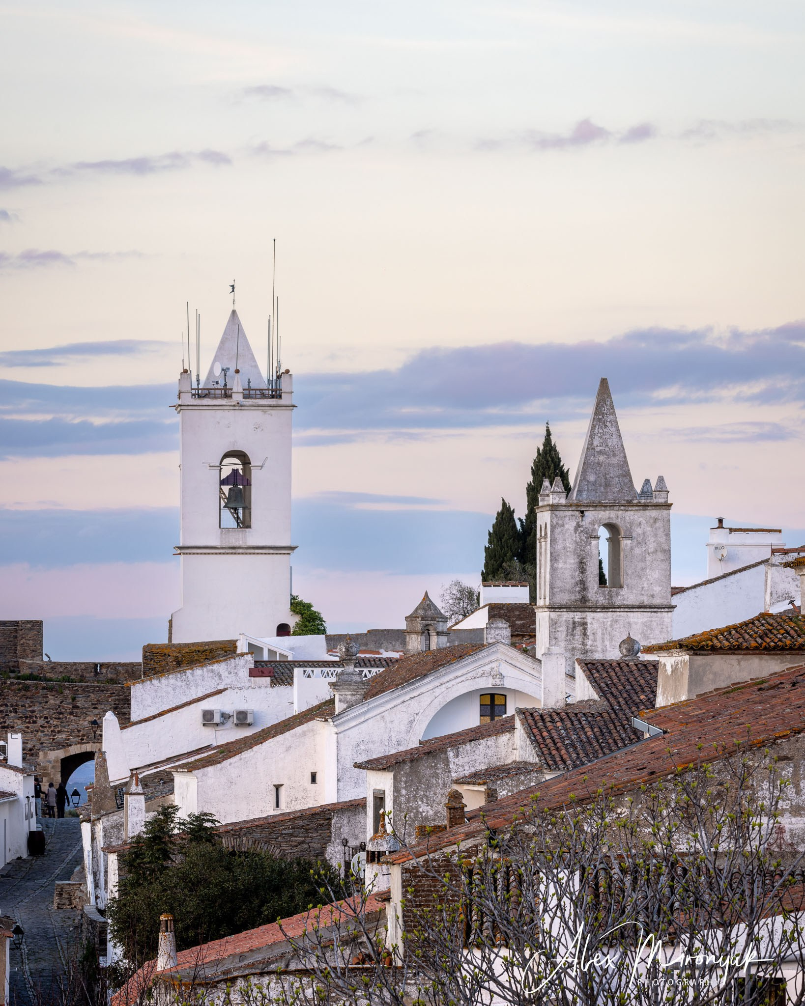 Portugal’s Scenic Treasures. Pet, Senior, Landscape, portrait studio, photographer in Miami and Sou