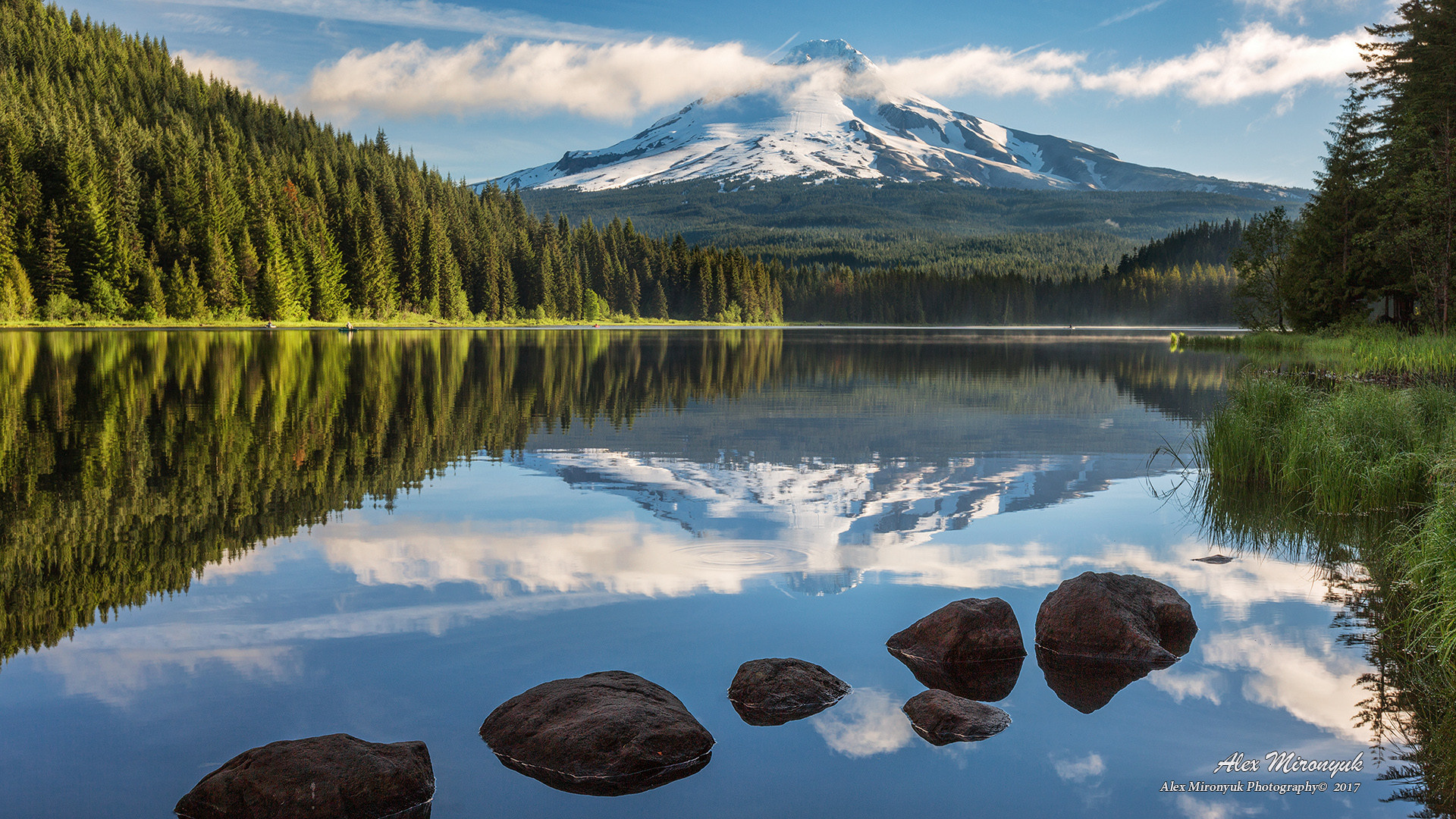 Oregon Coast Photo Workshop. Pet, Senior, Landscape, portrait studio, photographer in Miami and Sou