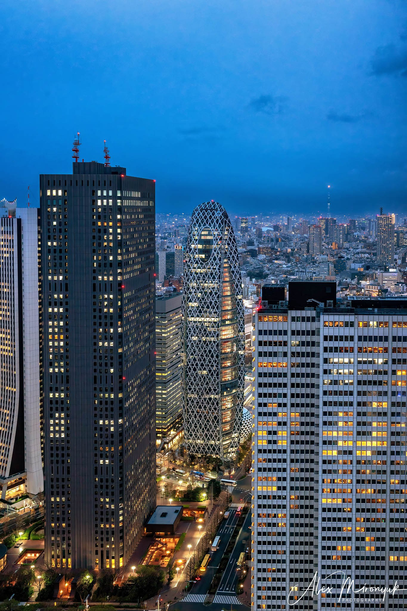 Autumn Colors of Japan. Pet, Senior, Landscape, portrait studio, photographer in Miami and Sou