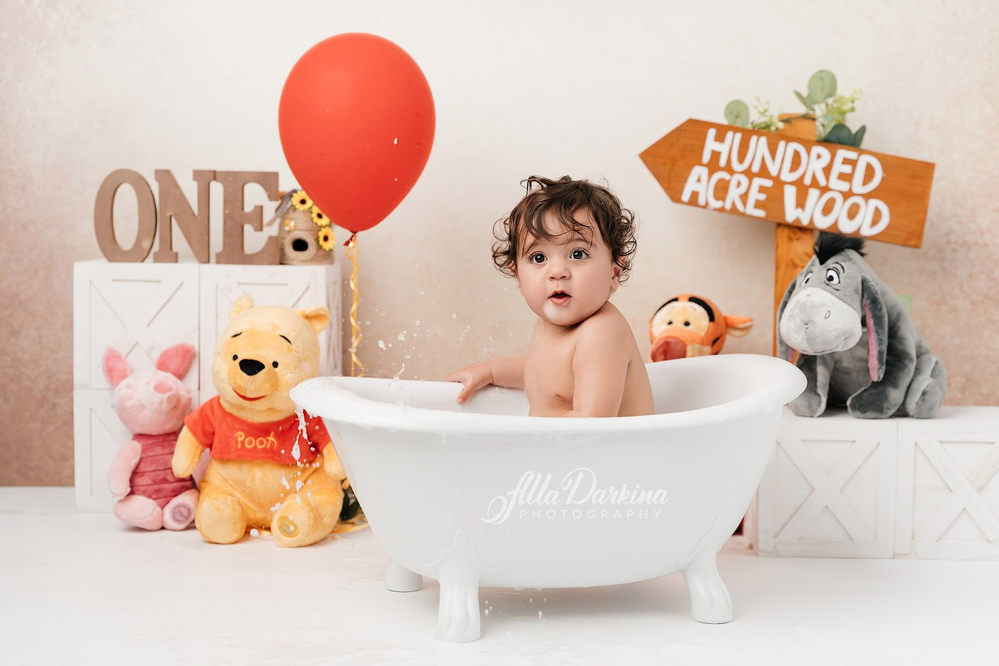 Winnie The Pooh cake smash session. Newborn and family photographer. Hills District. Sydney