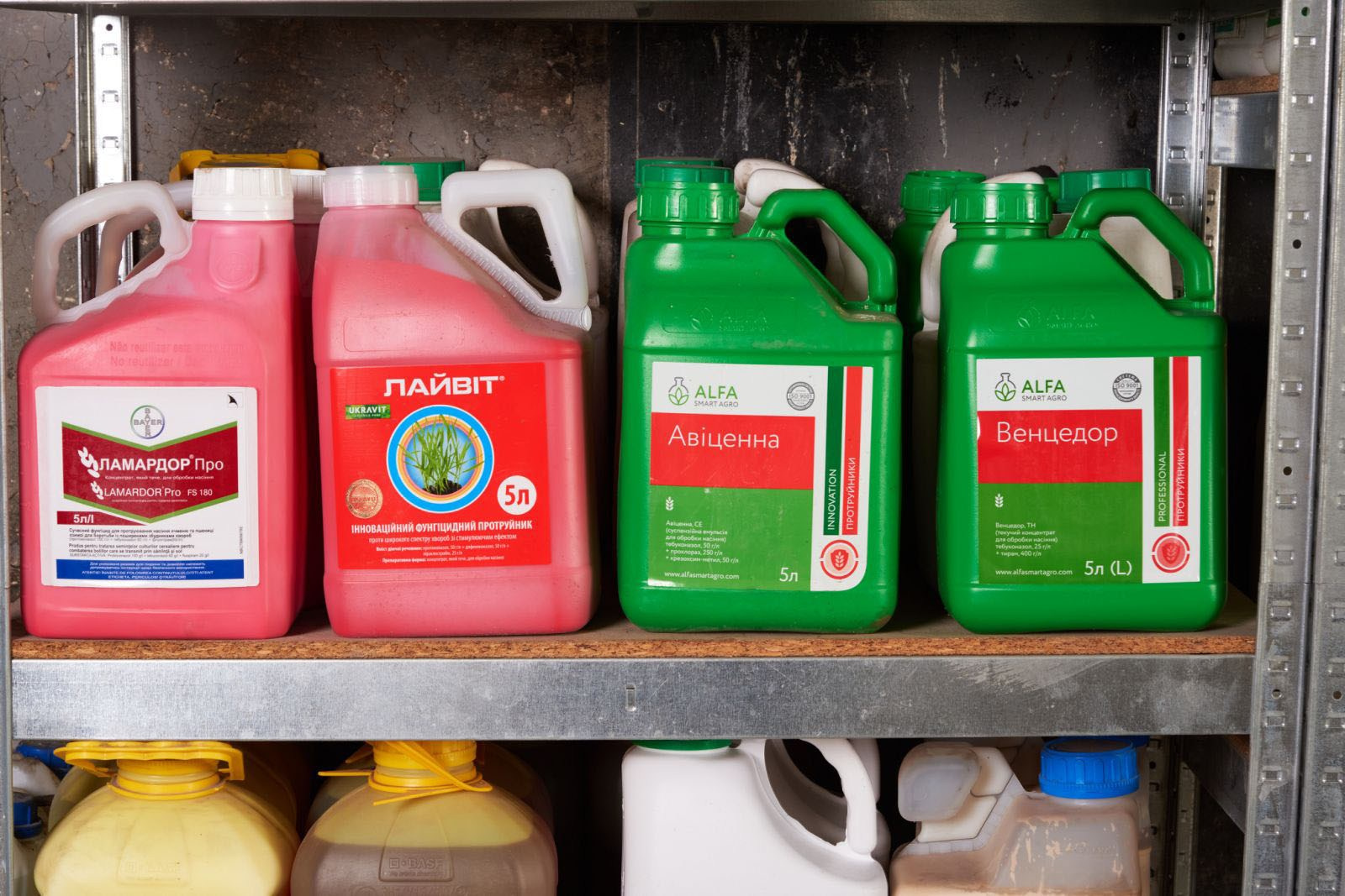 Авіценна, Лайвіт, Ламардор Про