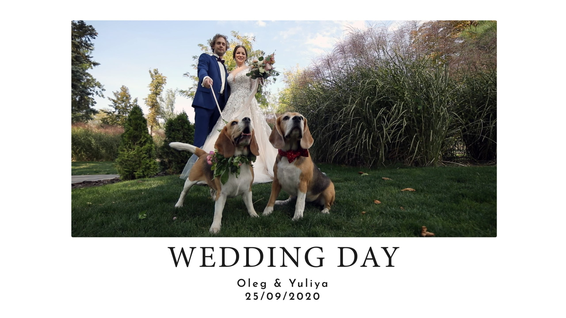 Проснитесь и пойте, мистер Фримен!. Весільне відео Київ