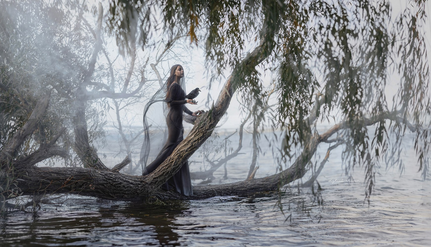 WATER TREE. Art photographer in Amsterdam, the Netherlands Irina Dzhul