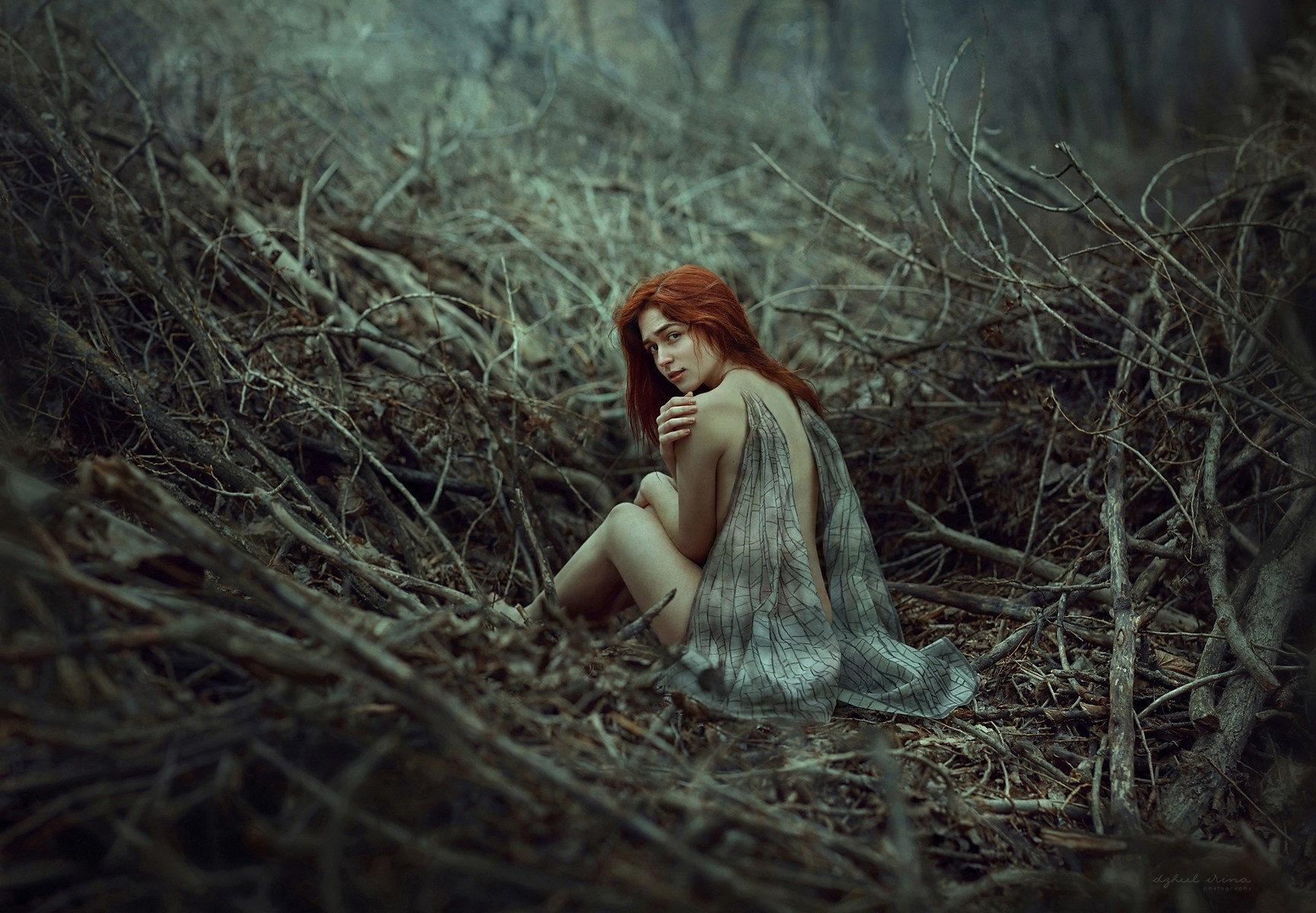 THE MOTH. Art photographer in Amsterdam, the Netherlands Irina Dzhul