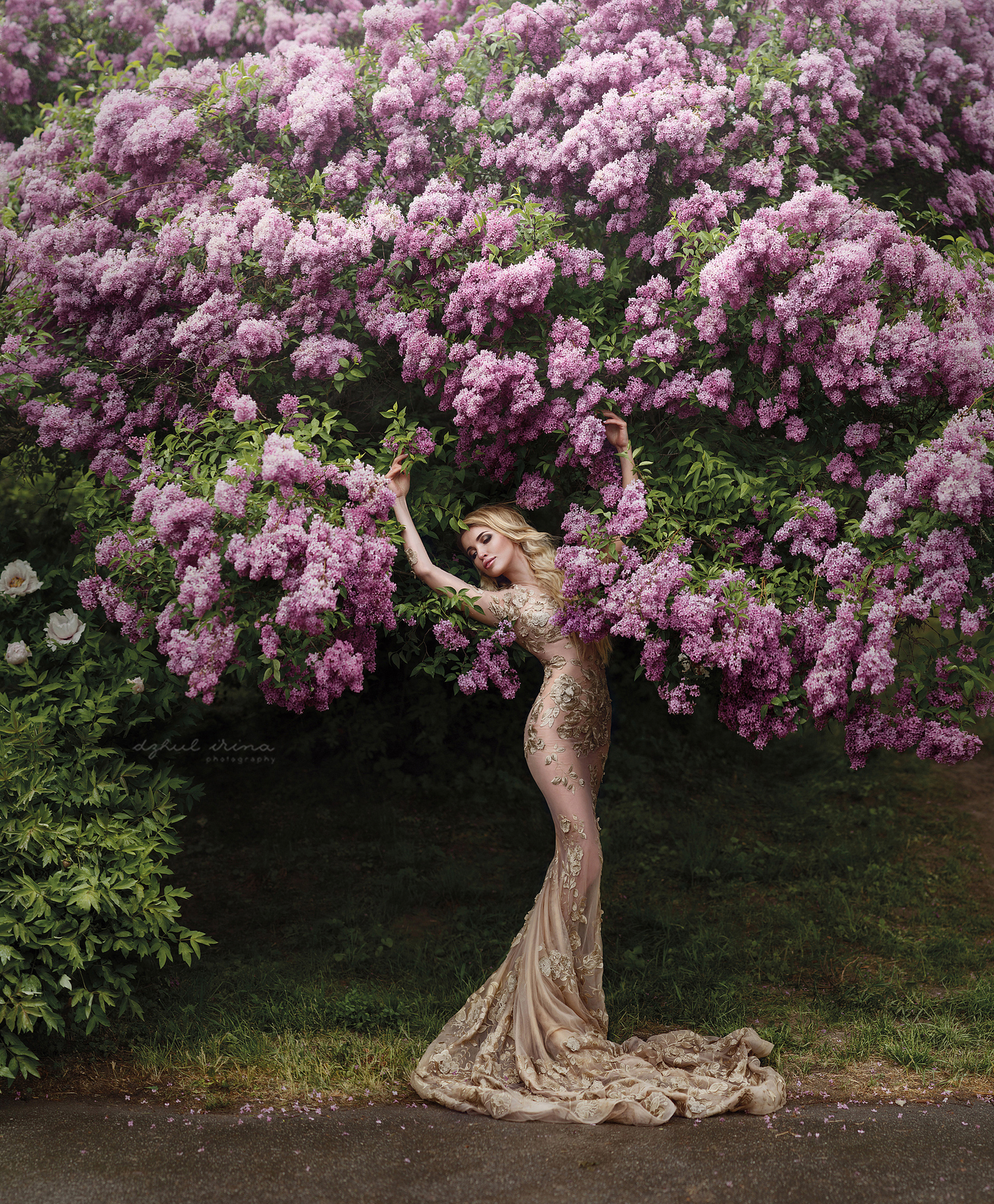 PRINT GALLERY. Art photographer in Amsterdam, the Netherlands Irina Dzhul