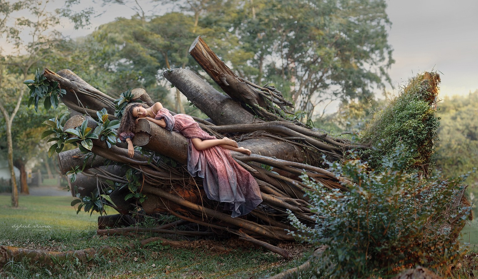 FICUS SOUL. Art photographer in Amsterdam, the Netherlands Irina Dzhul