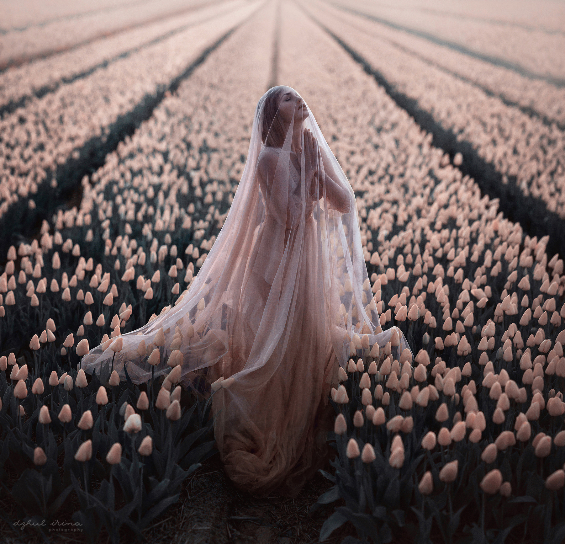 PRINT GALLERY. Art photographer in Amsterdam, the Netherlands Irina Dzhul