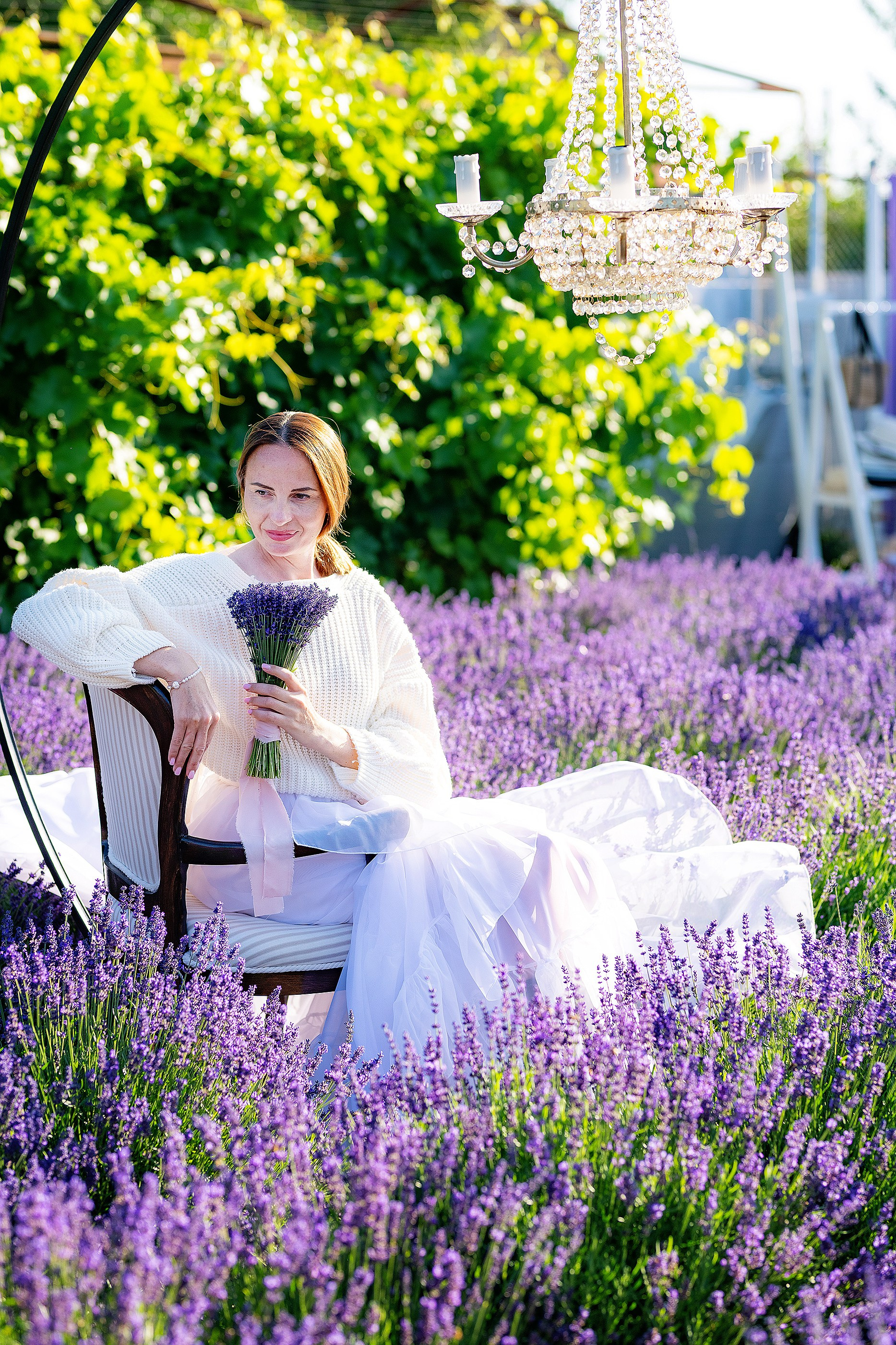 Лавандовий рай. Фотограф в Запоріжжі та Європі