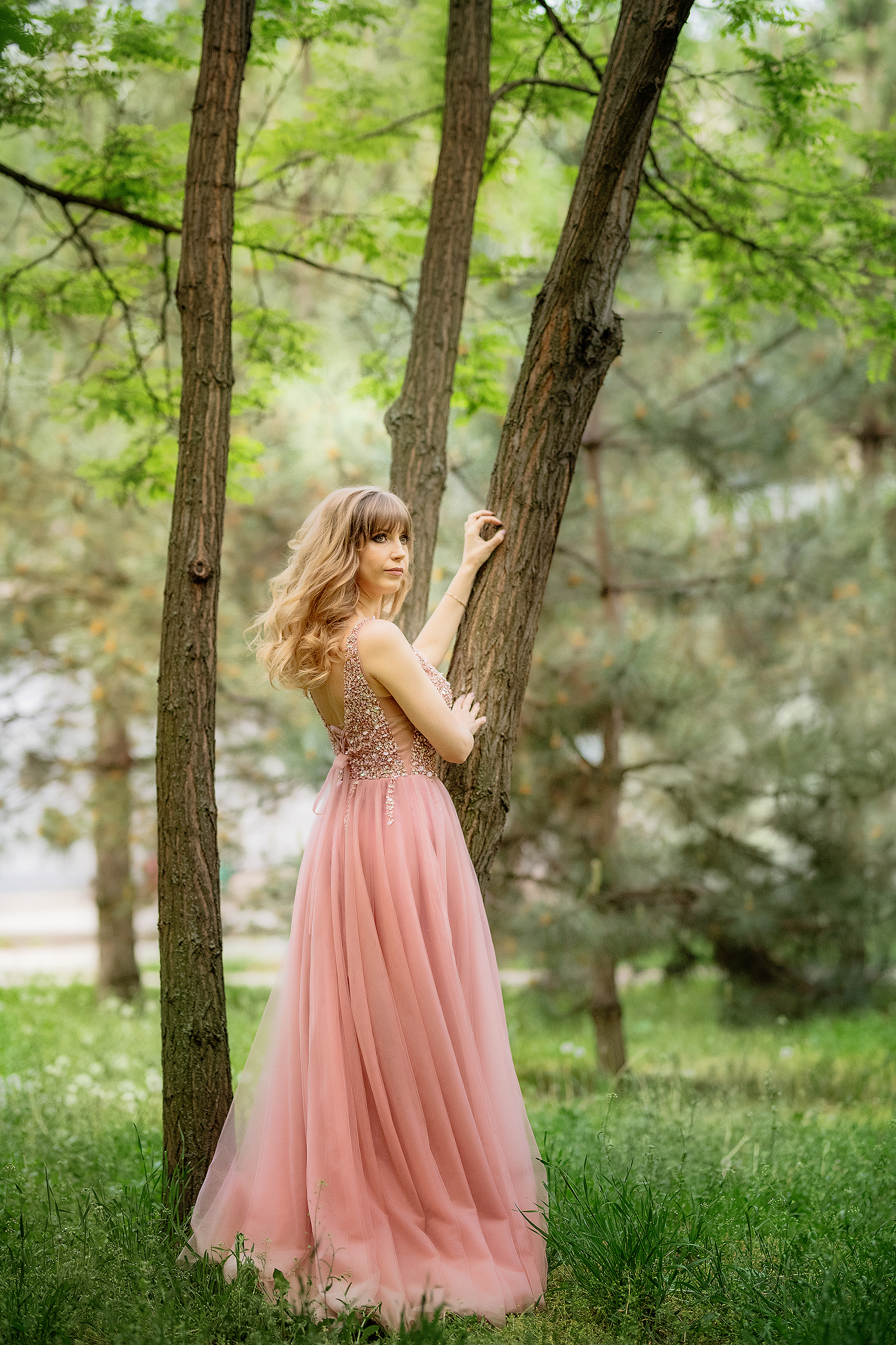 Фотосессия в глицинии. Фотограф в Запоріжжі та Європі