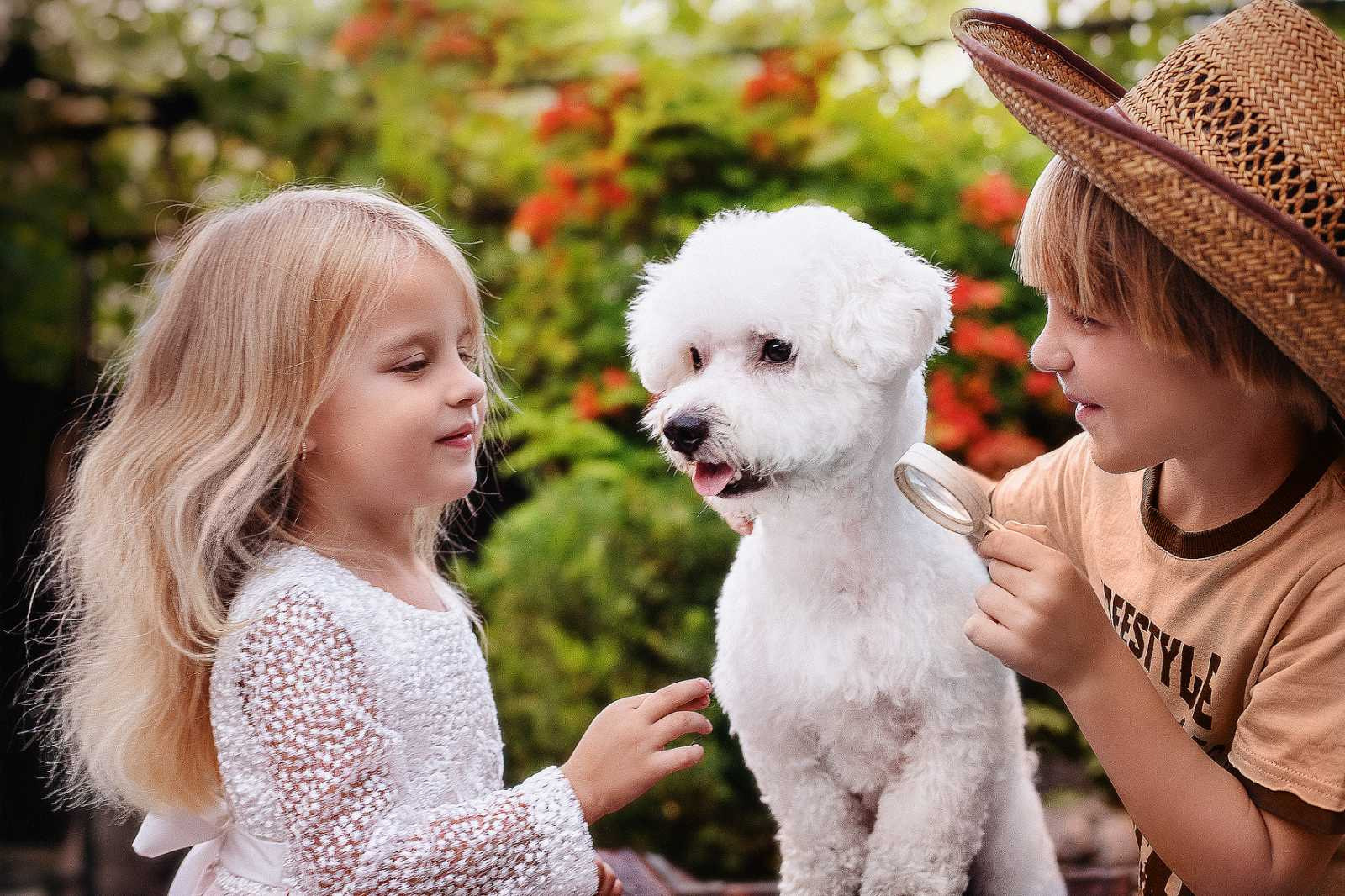 Animal photo shoot. Фотограф в Запоріжжі та Європі