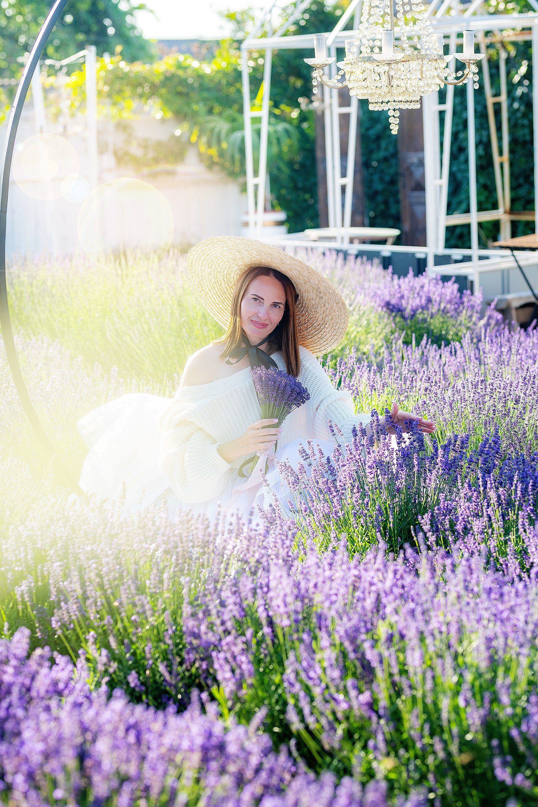 Лавандовий рай. Фотограф в Запоріжжі та Європі
