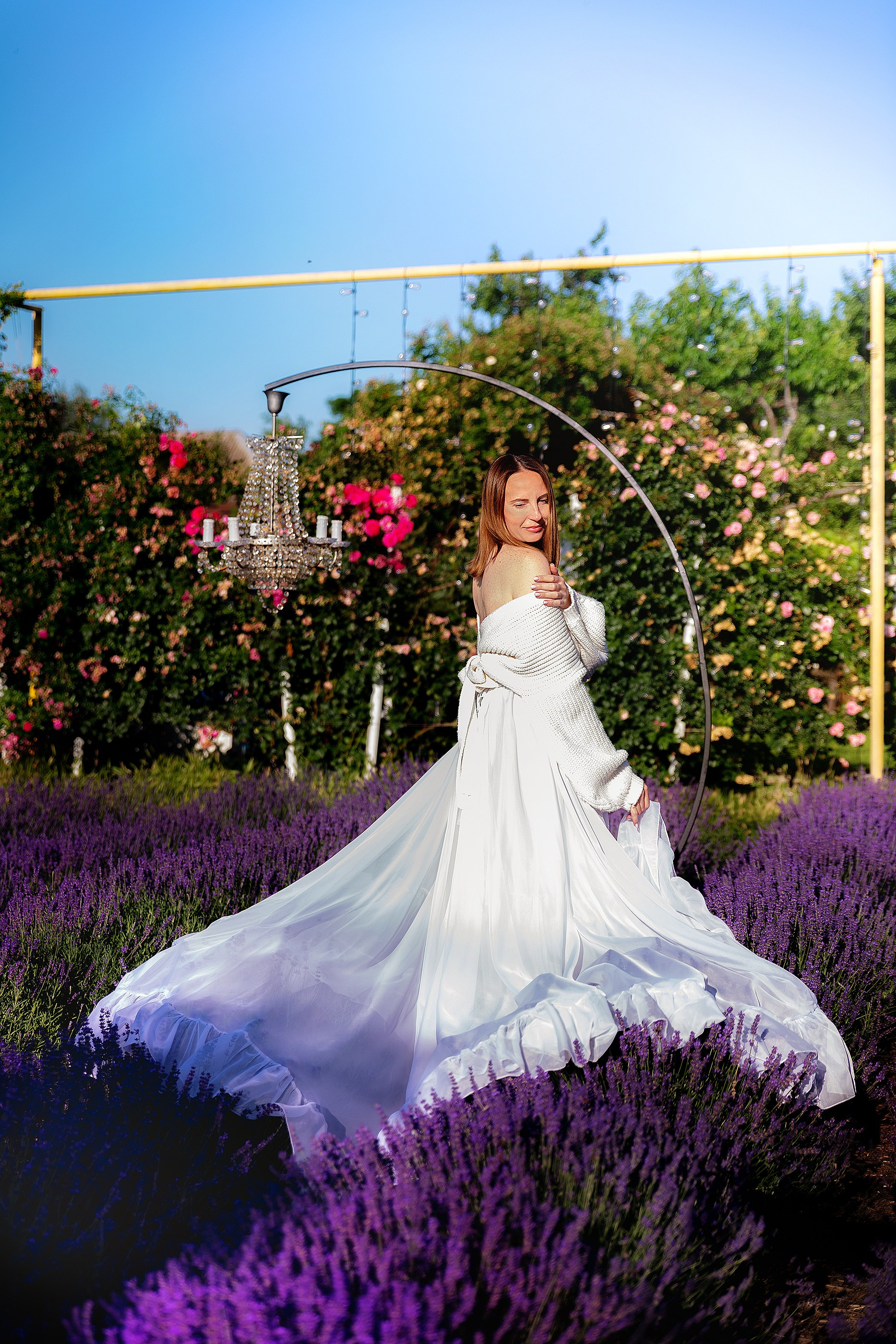 Лавандовий рай. Фотограф в Запоріжжі та Європі