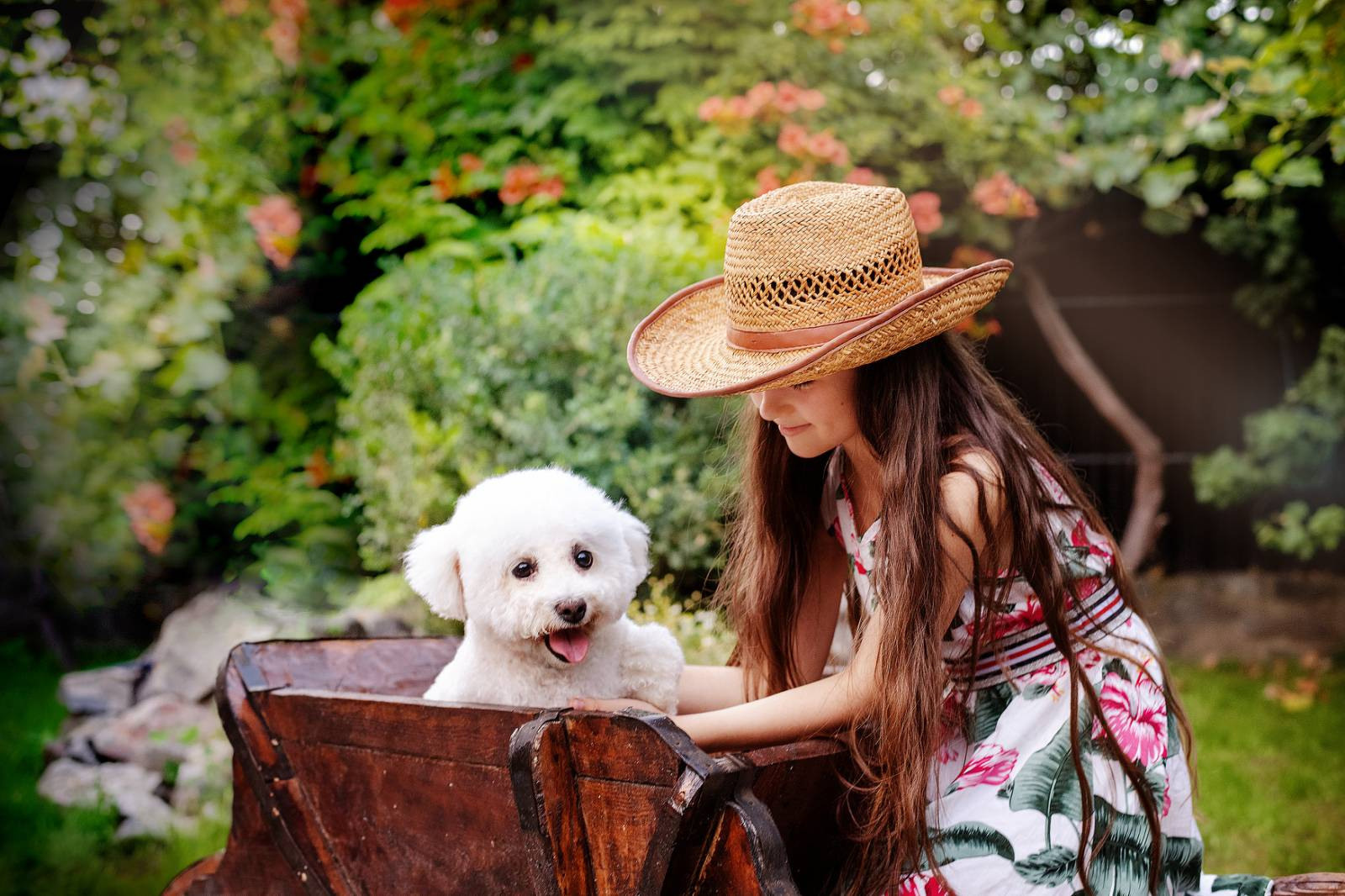 Animal photo shoot. Фотограф в Запоріжжі та Європі