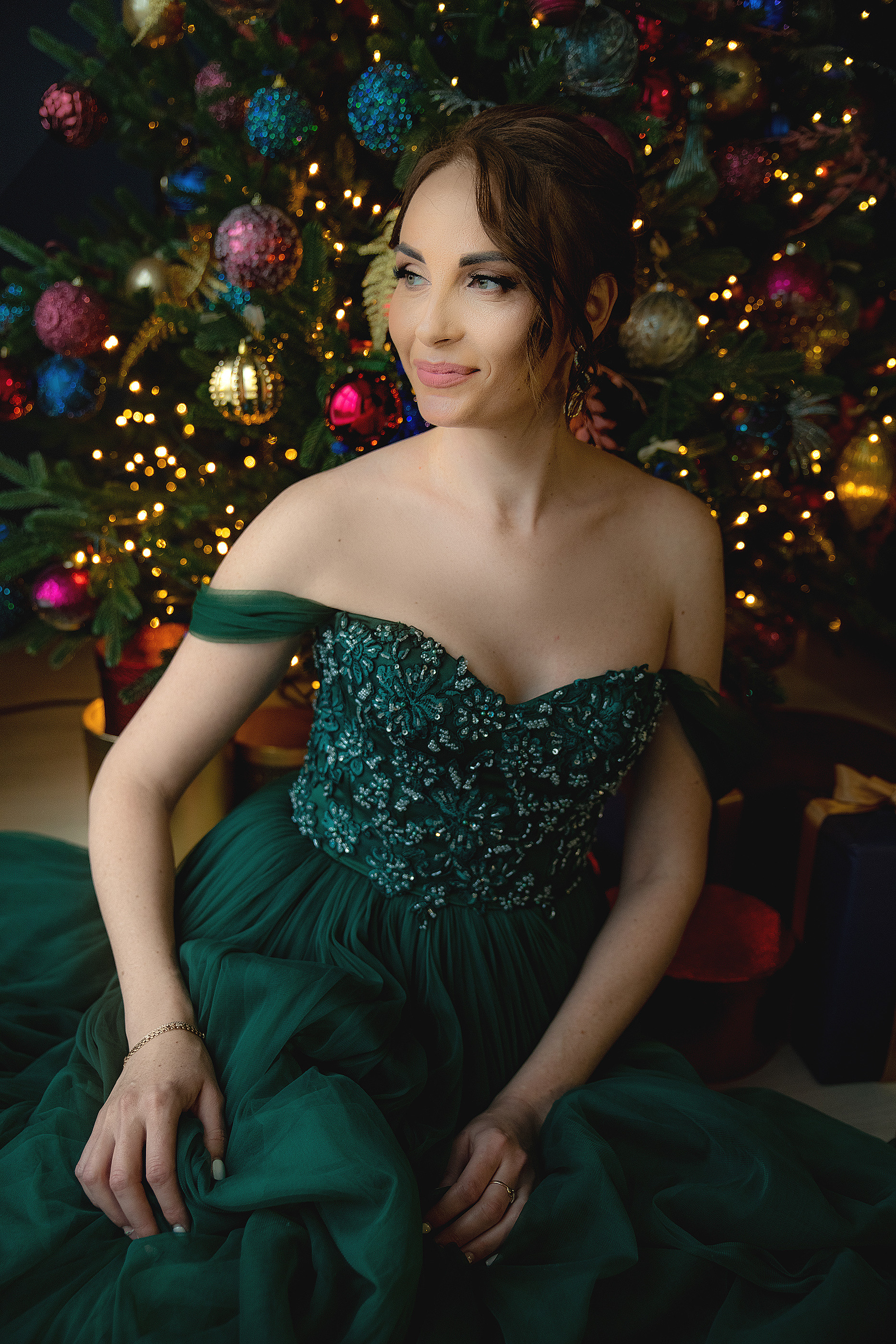 Новий рік 2023. Фотограф в Запоріжжі та Європі