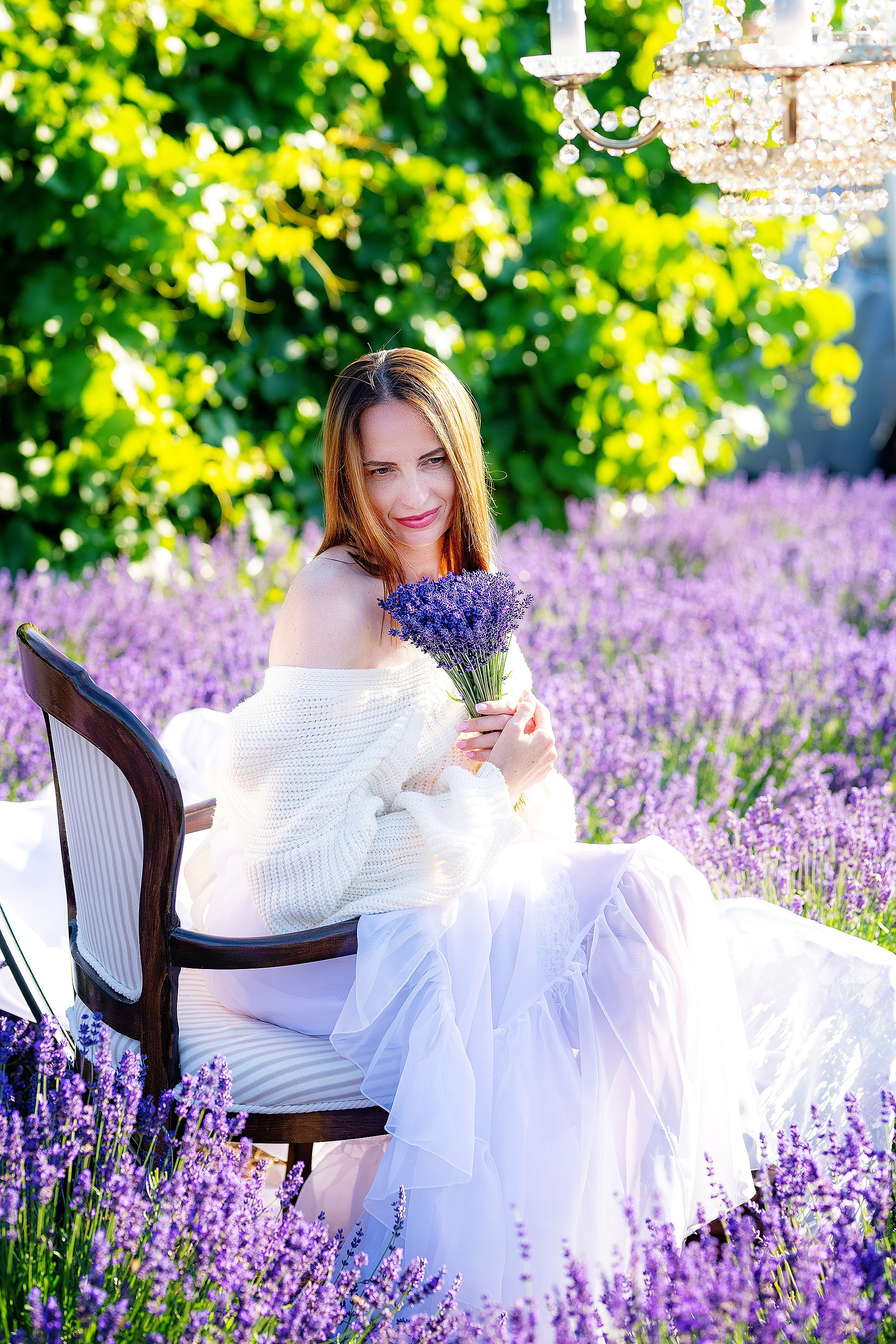 Лавандовий рай. Фотограф в Запоріжжі та Європі