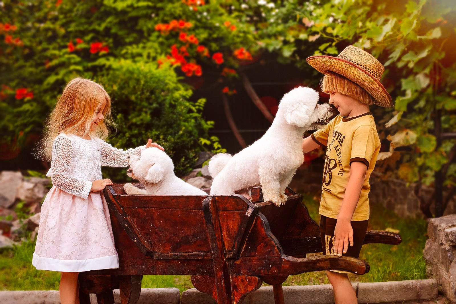 Animal photo shoot. Фотограф в Запоріжжі та Європі