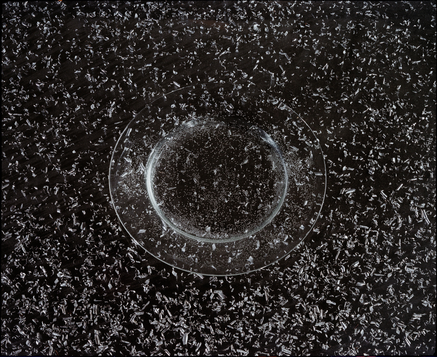 PhotoTOP Still Life 2022. Миша Масленников. Документальная фотография. Одесса