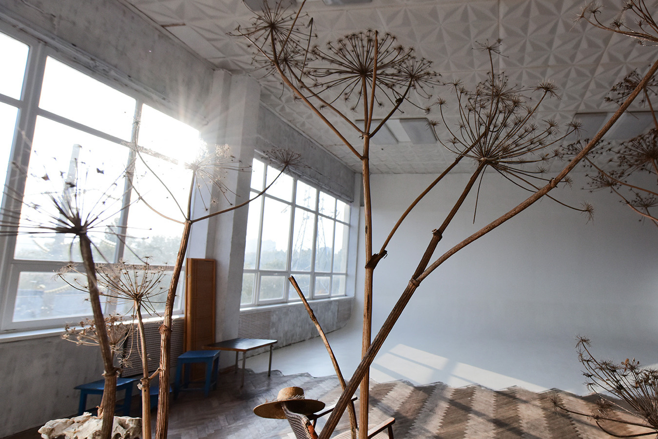 Фотостудії Києва. Сімейний і портретний фотограф у Києві Проценко Алла