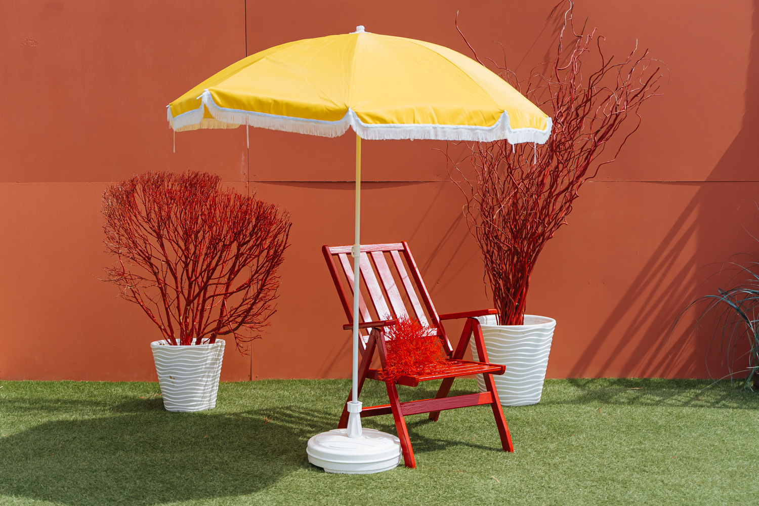 Фотостудії Києва. Сімейний і портретний фотограф у Києві Проценко Алла