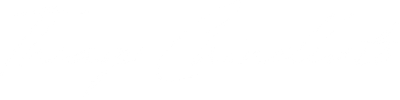 thiagochinellato.com