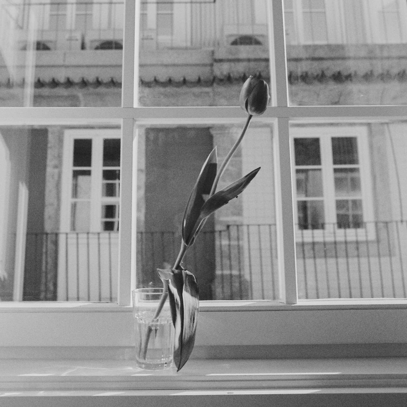 Therapeutic Photography Course with Lilit Danielyan. Lilit Danielyan — Photographer, Filmmaker, and Educator in Lisbon, Portugal