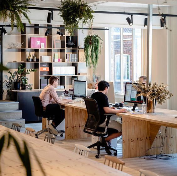 Open workspace featuring plants and organized shelves