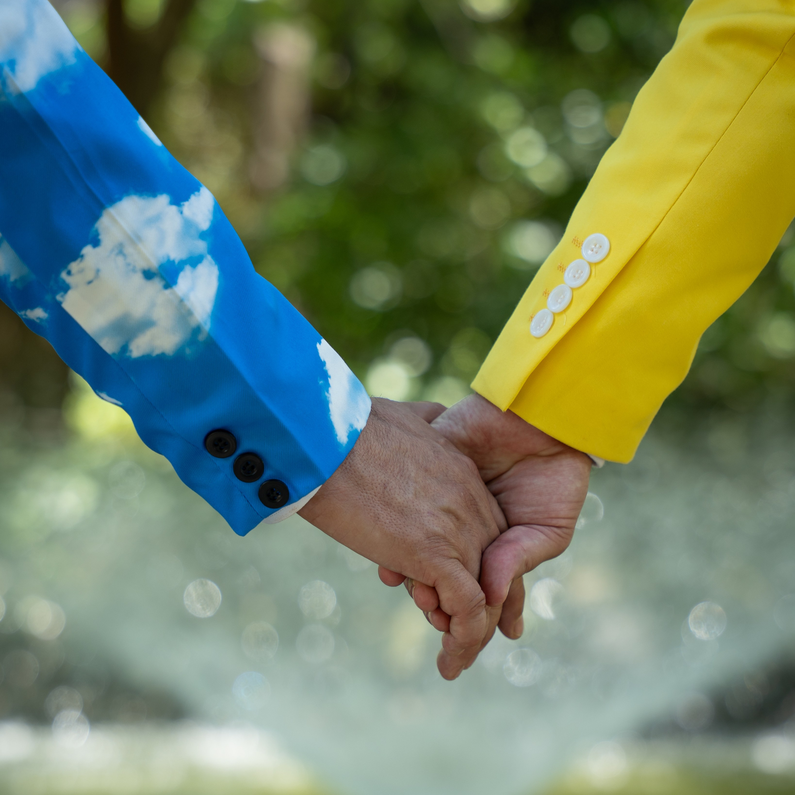 Celebraciones. Elisveiga